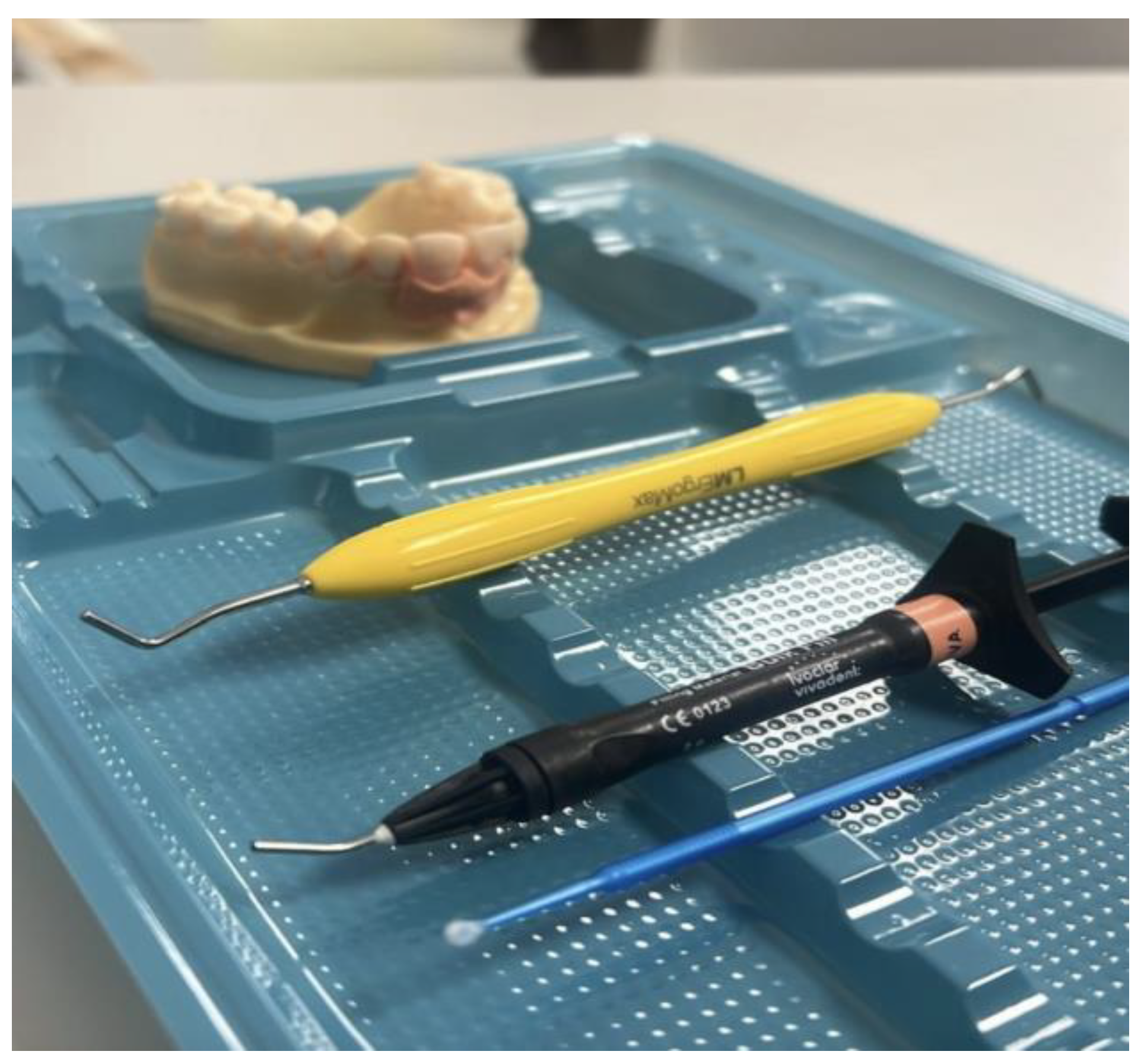 Nursrep 14 00275 g001 Nursrep 14 00275 g001