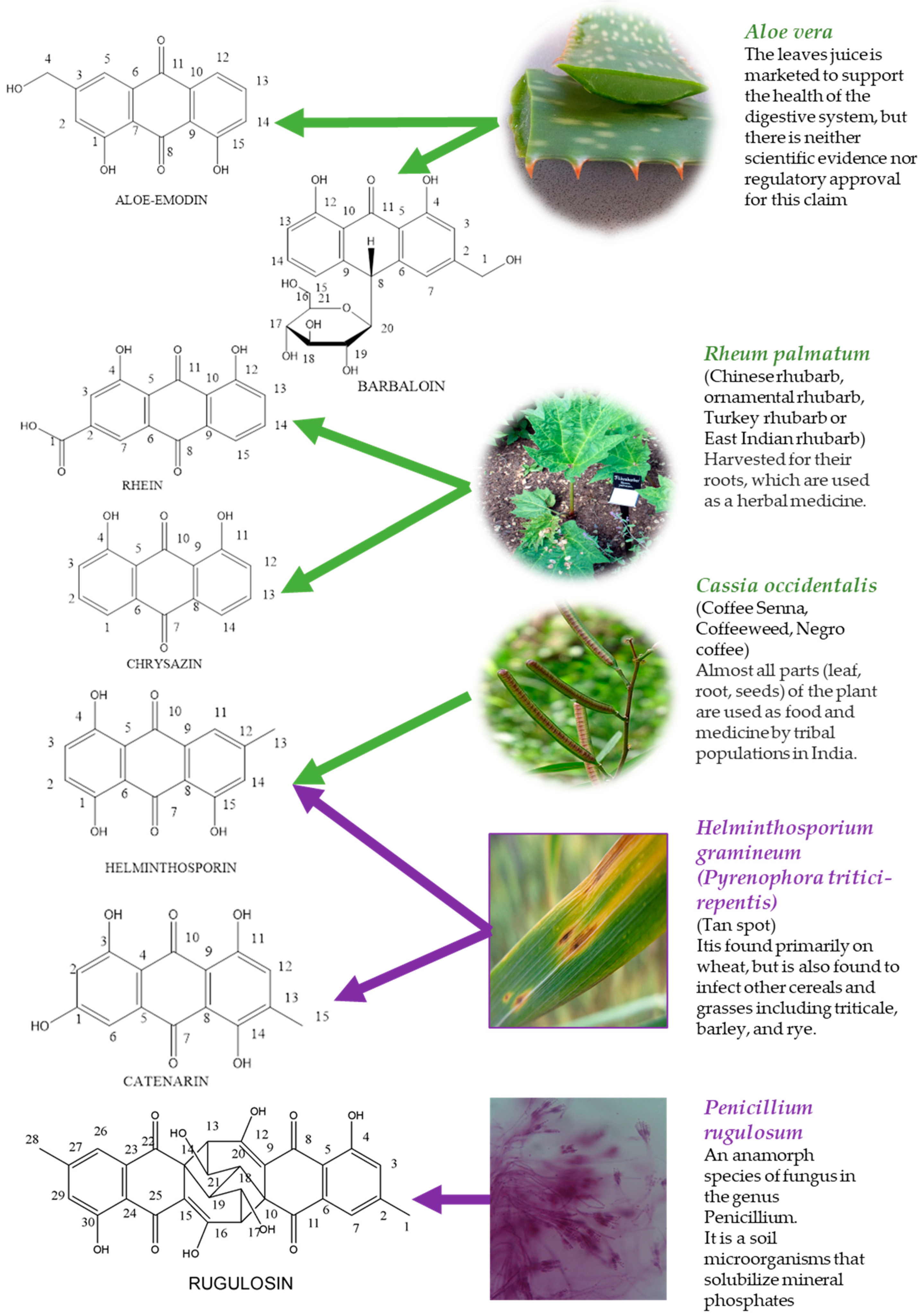 Nutraceuticals 01 00004 g001