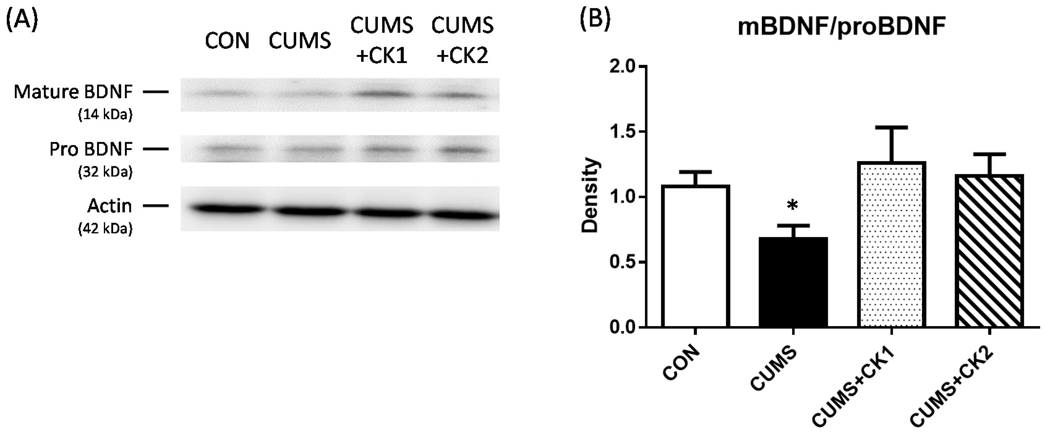 Nutraceuticals 02 00007 g002