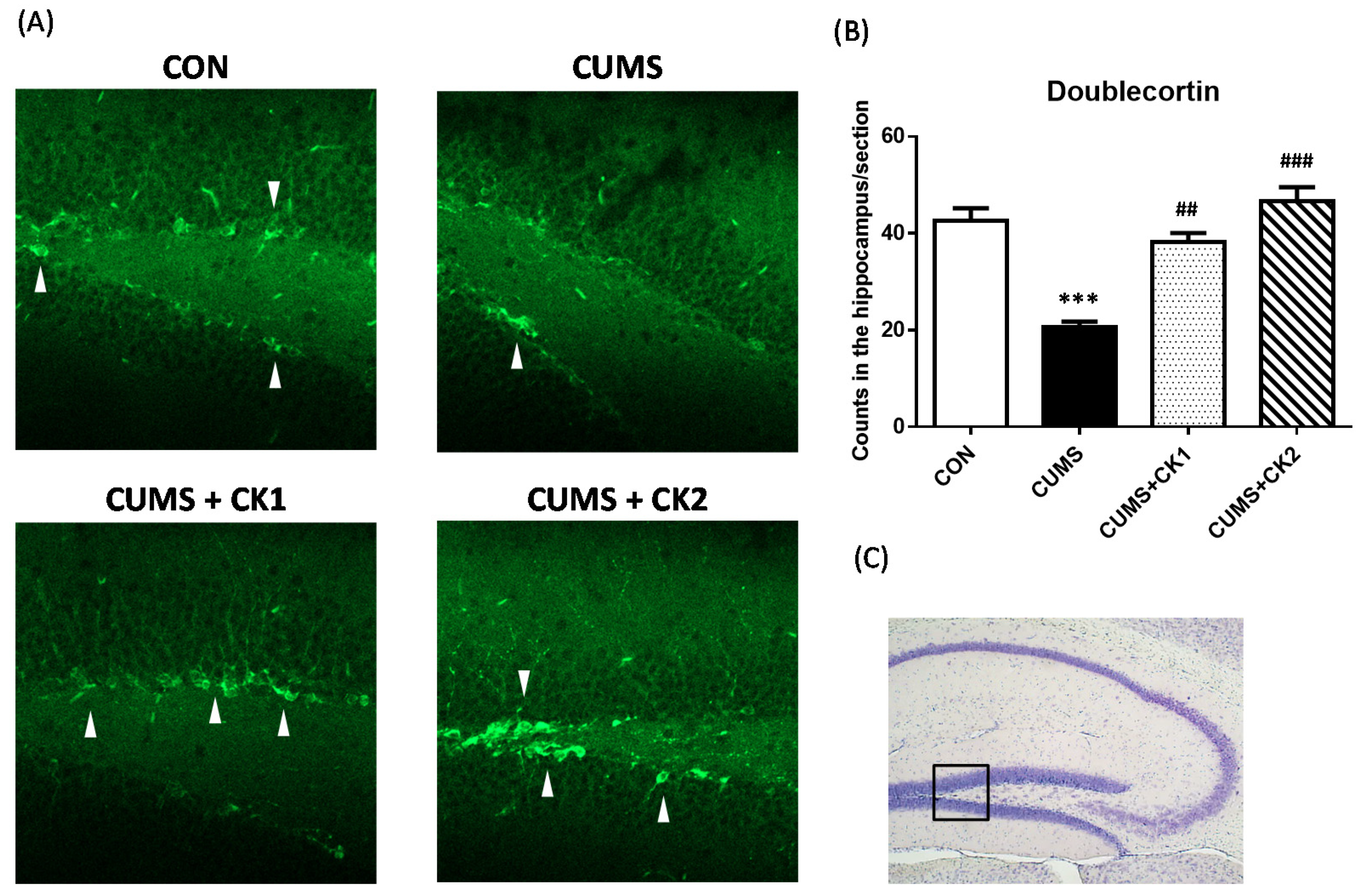 Nutraceuticals 02 00007 g003