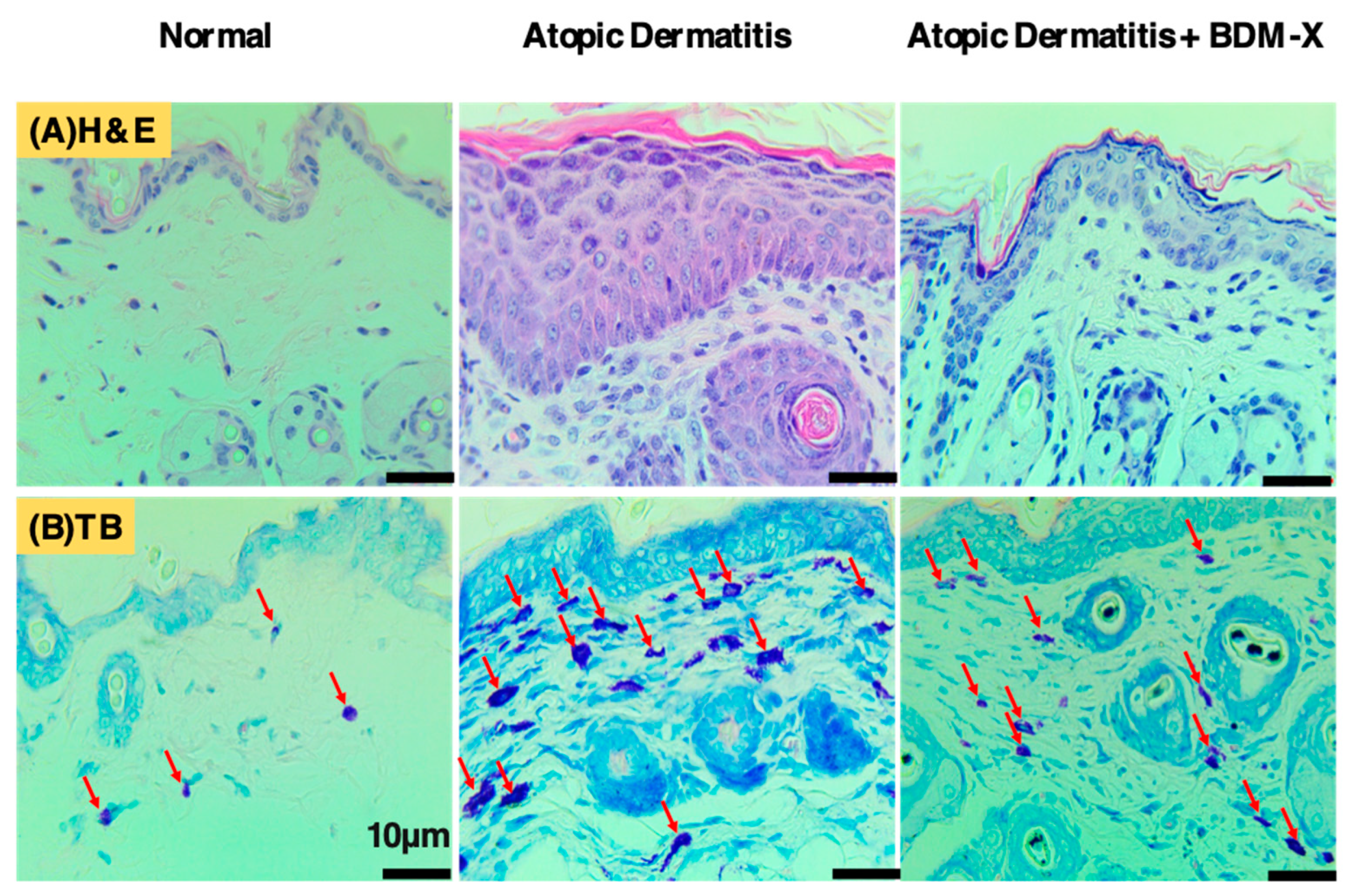 Nutraceuticals 02 00010 g007