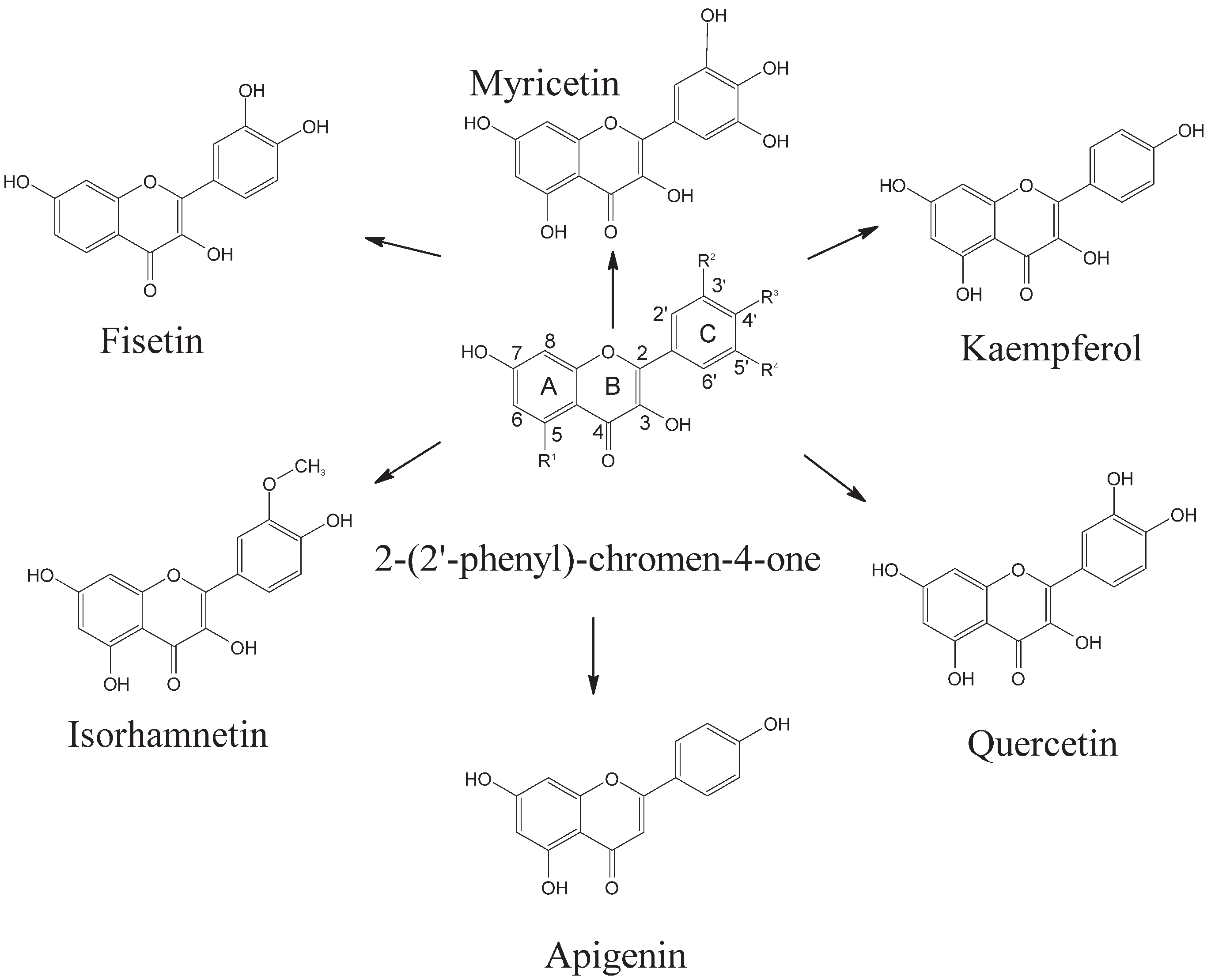 Nutraceuticals 02 00017 g001