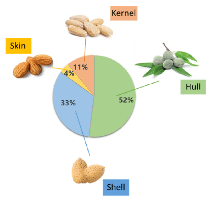 Nutraceuticals 02 00023 g002