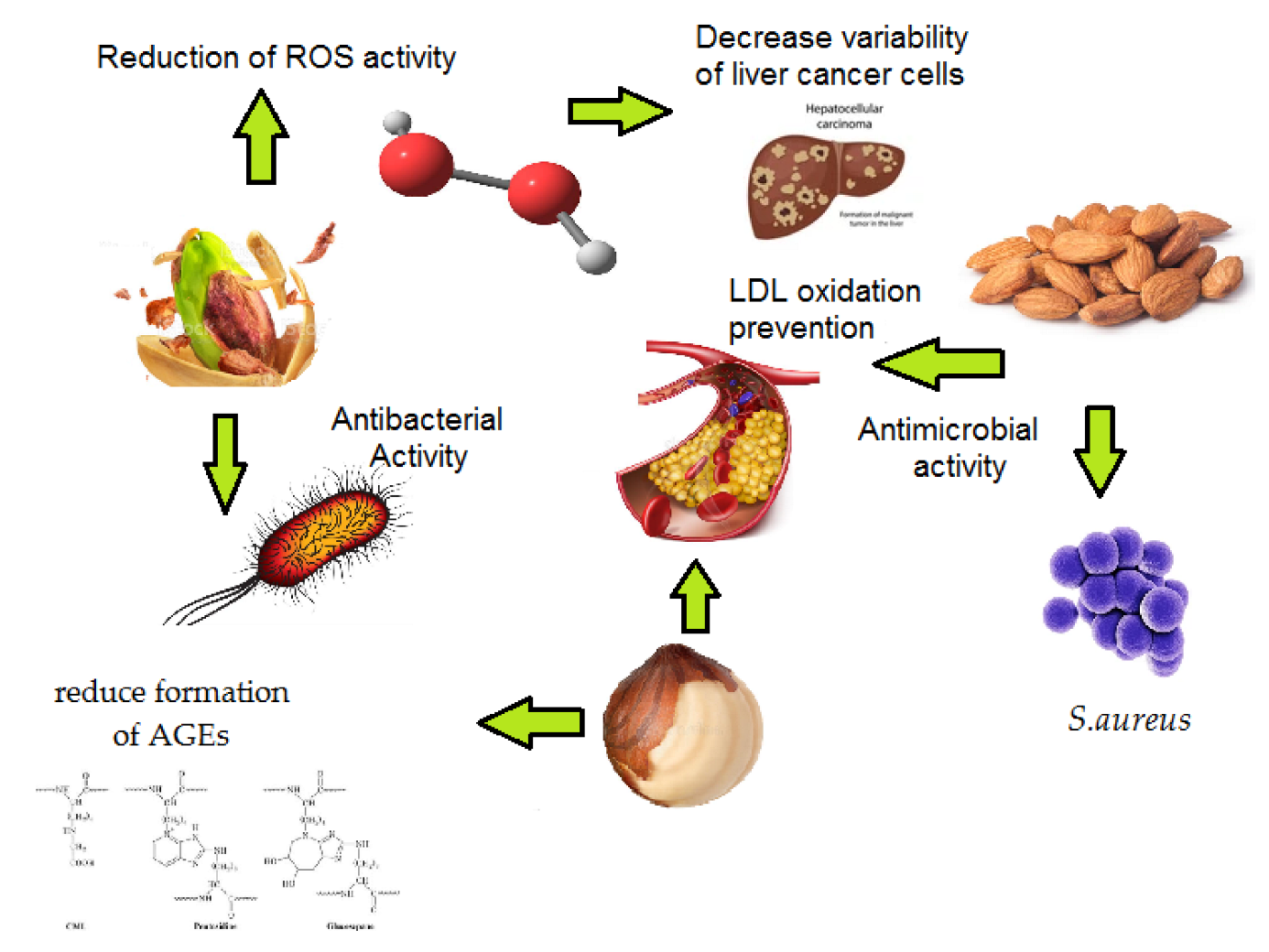 Nutraceuticals 02 00023 g005