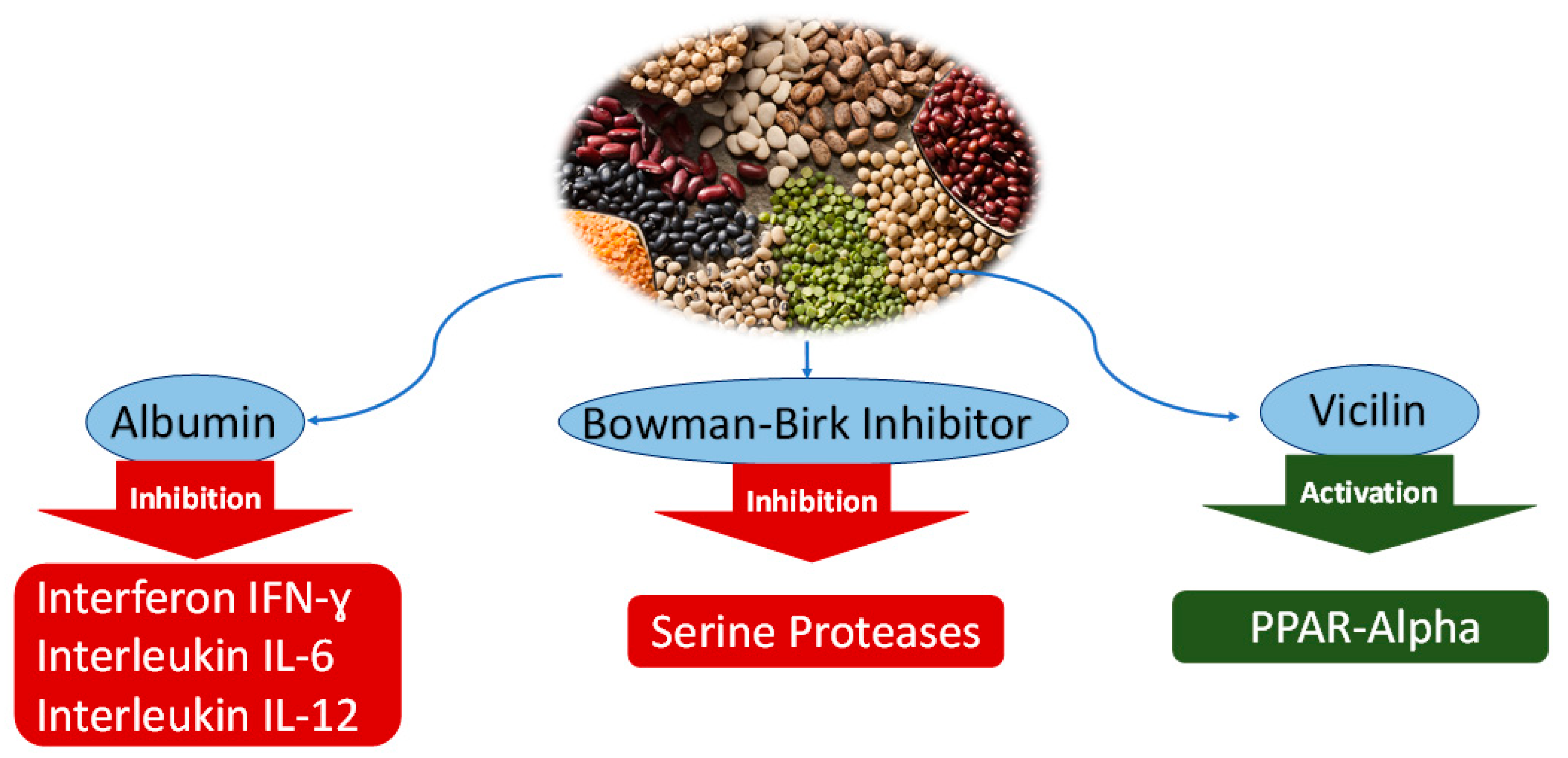 Nutraceuticals 02 00025 g001 Nutraceuticals 02 00025 g001