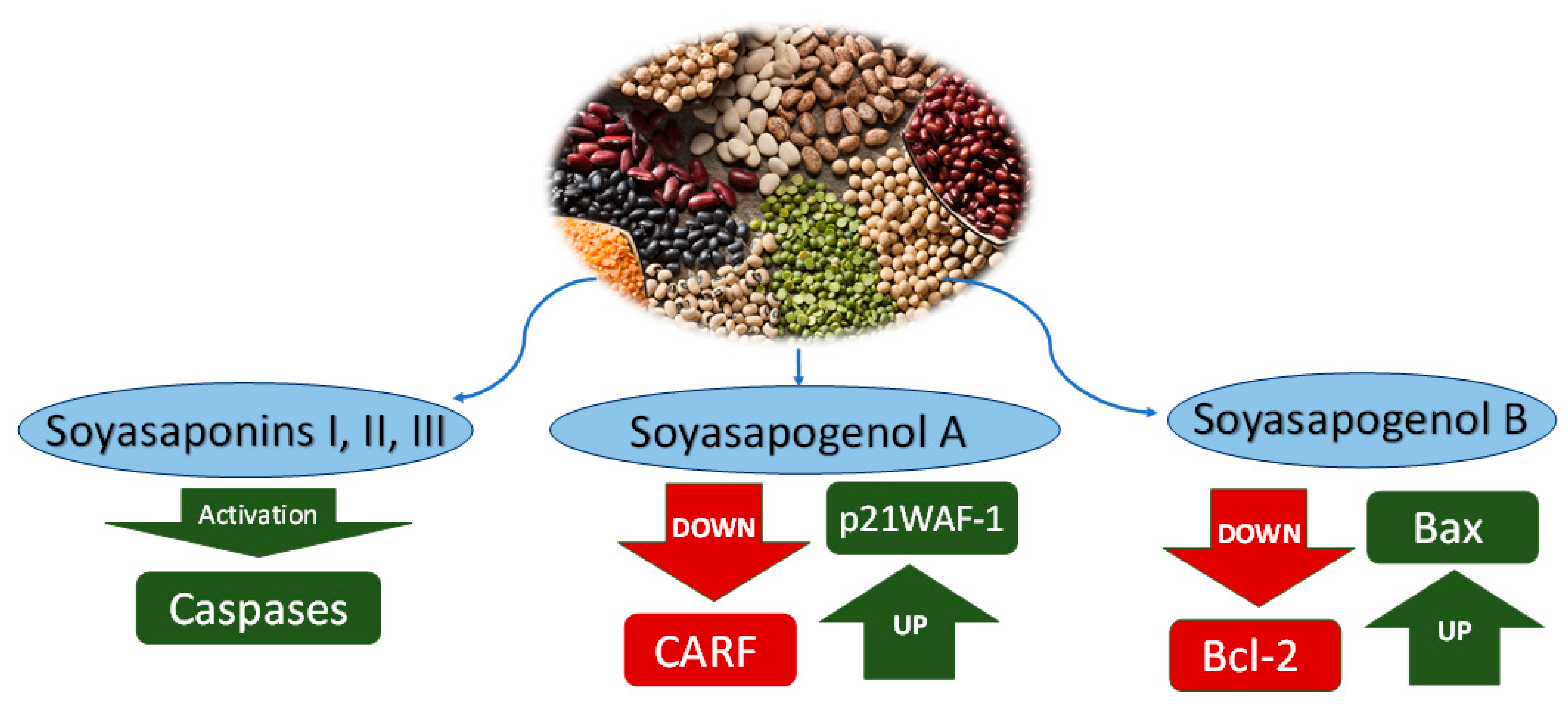 Nutraceuticals 02 00025 g002 Nutraceuticals 02 00025 g002