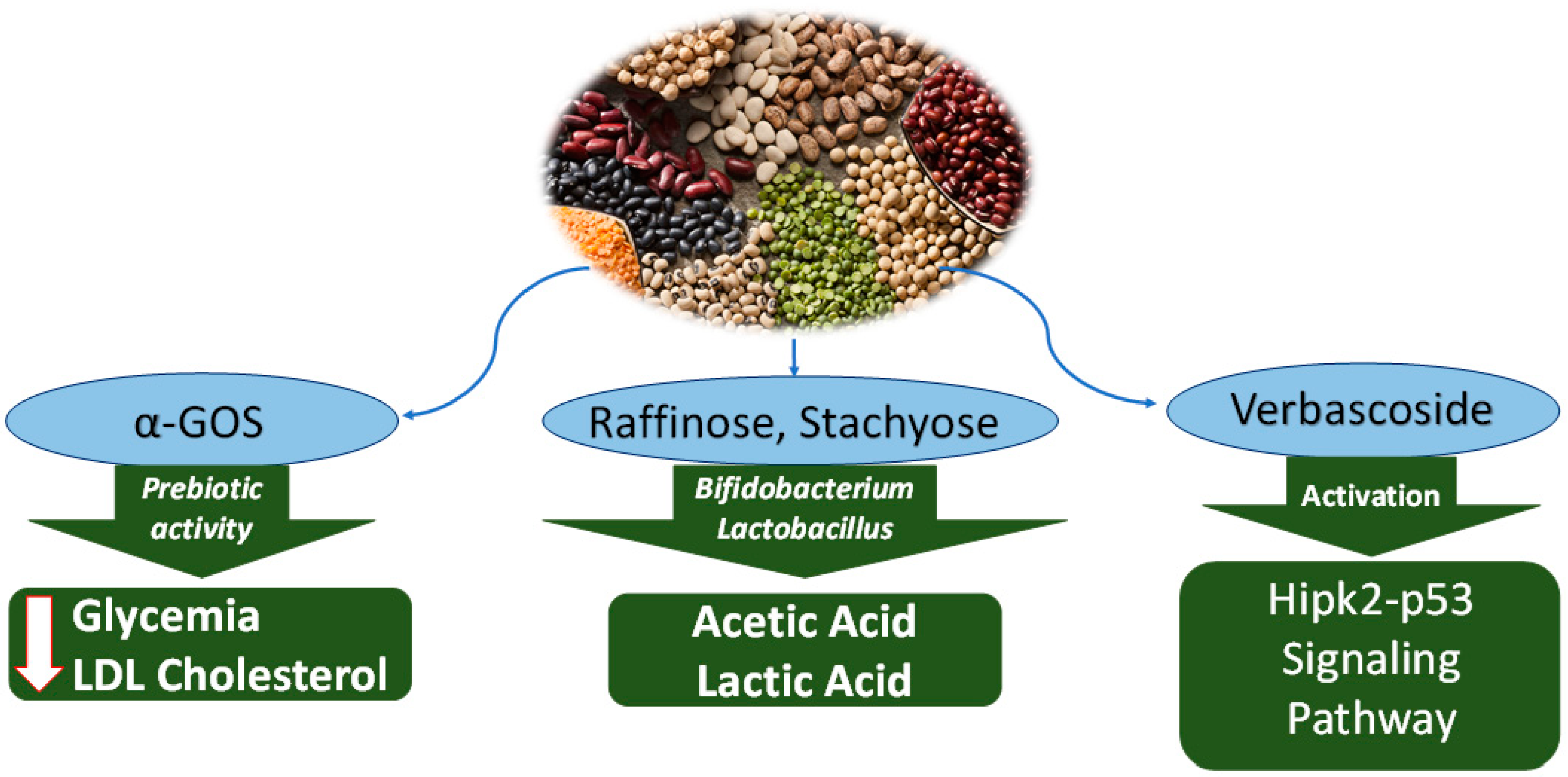Nutraceuticals 02 00025 g003 Nutraceuticals 02 00025 g003