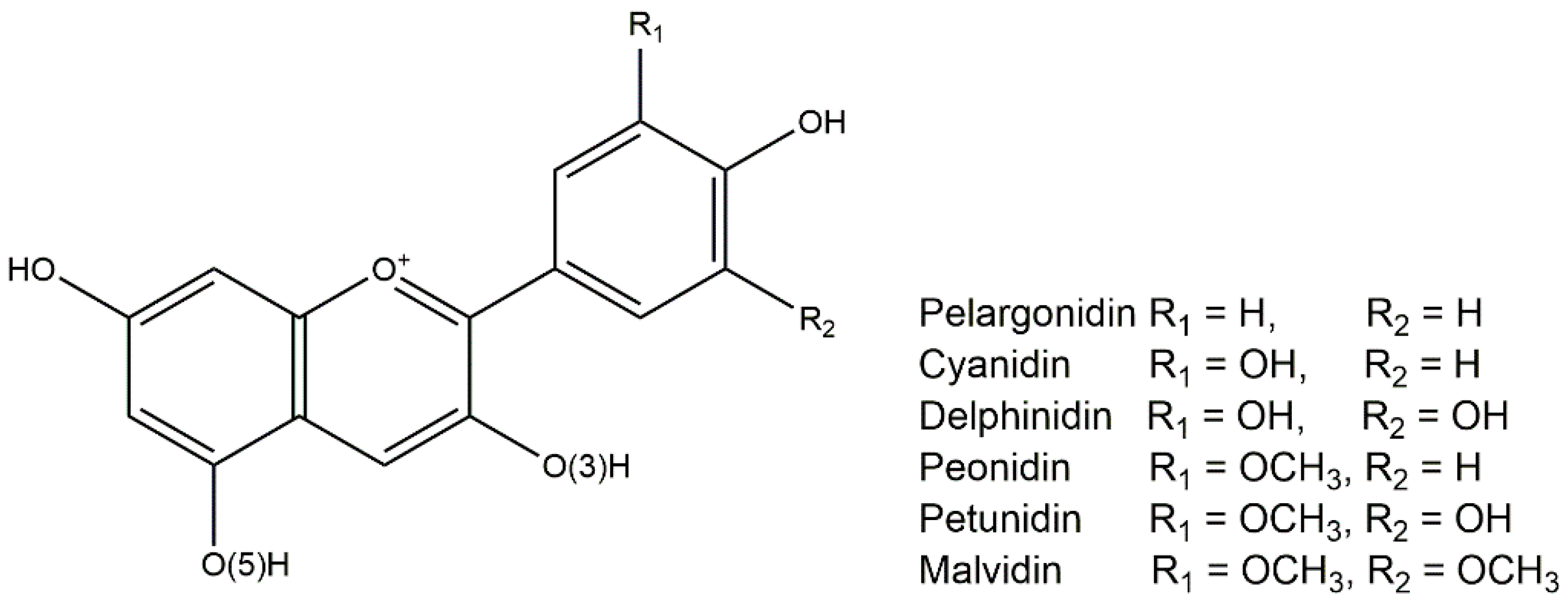Nutraceuticals 02 00028 g001