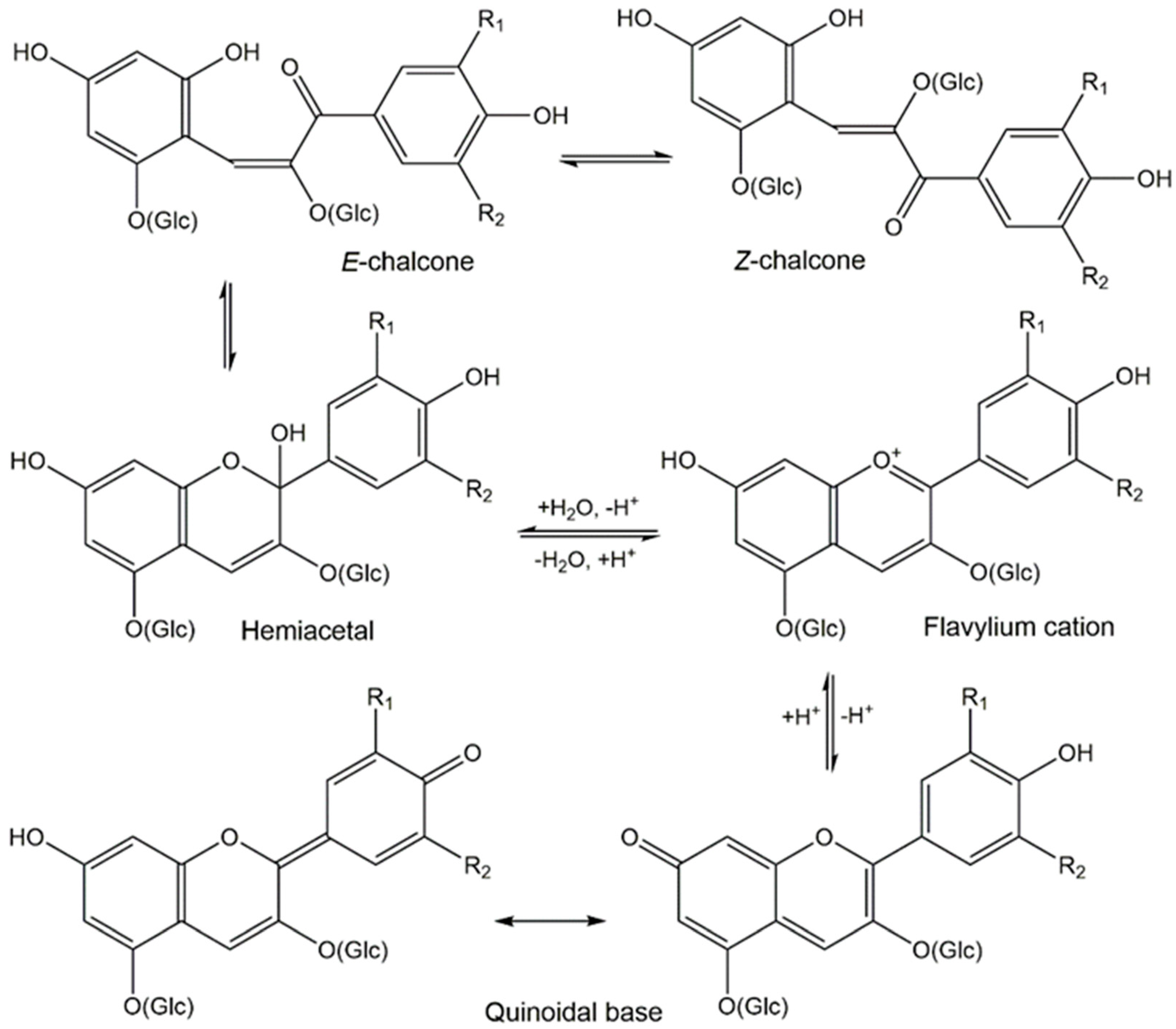 Nutraceuticals 02 00028 g002