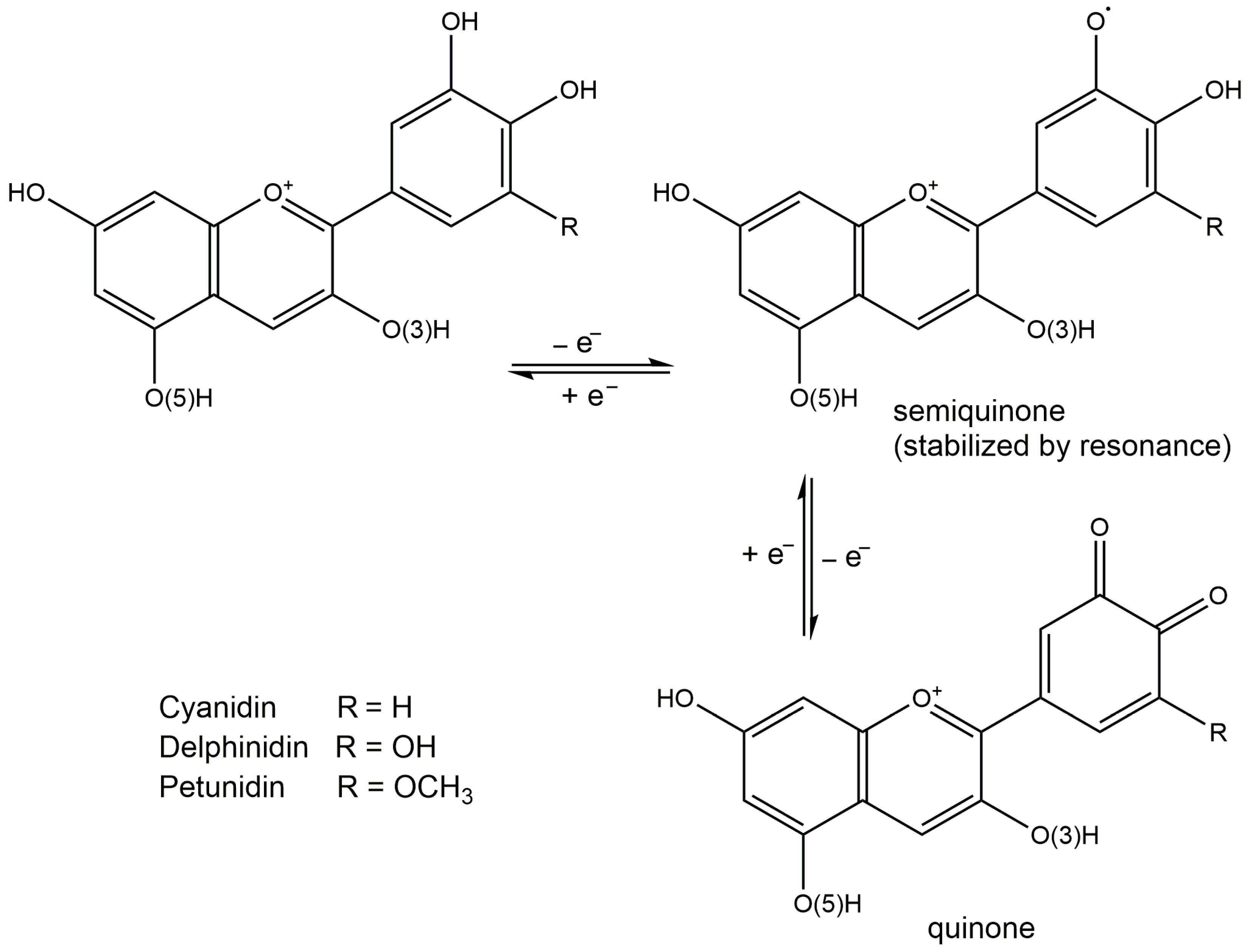Nutraceuticals 02 00028 g003