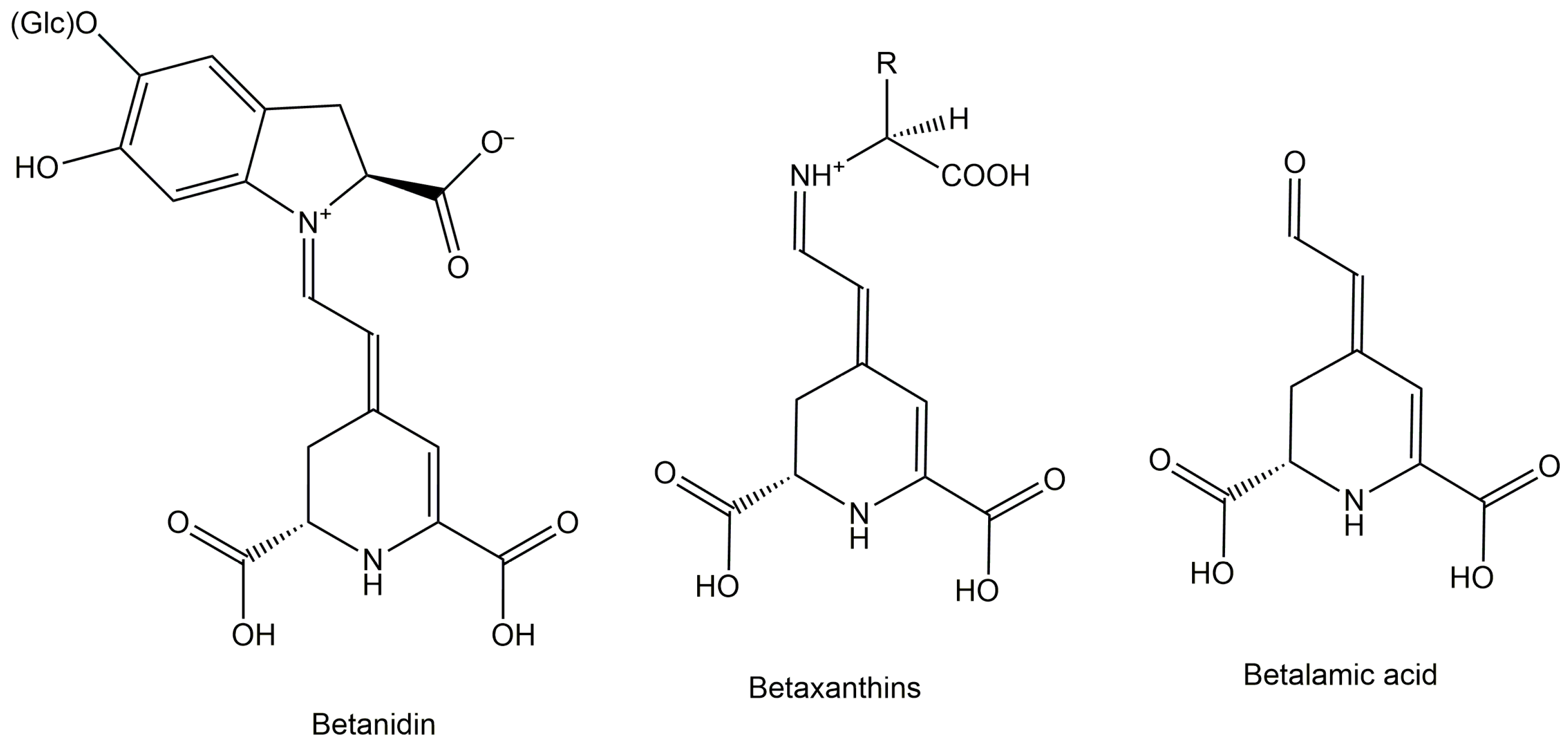 Nutraceuticals 02 00028 g004