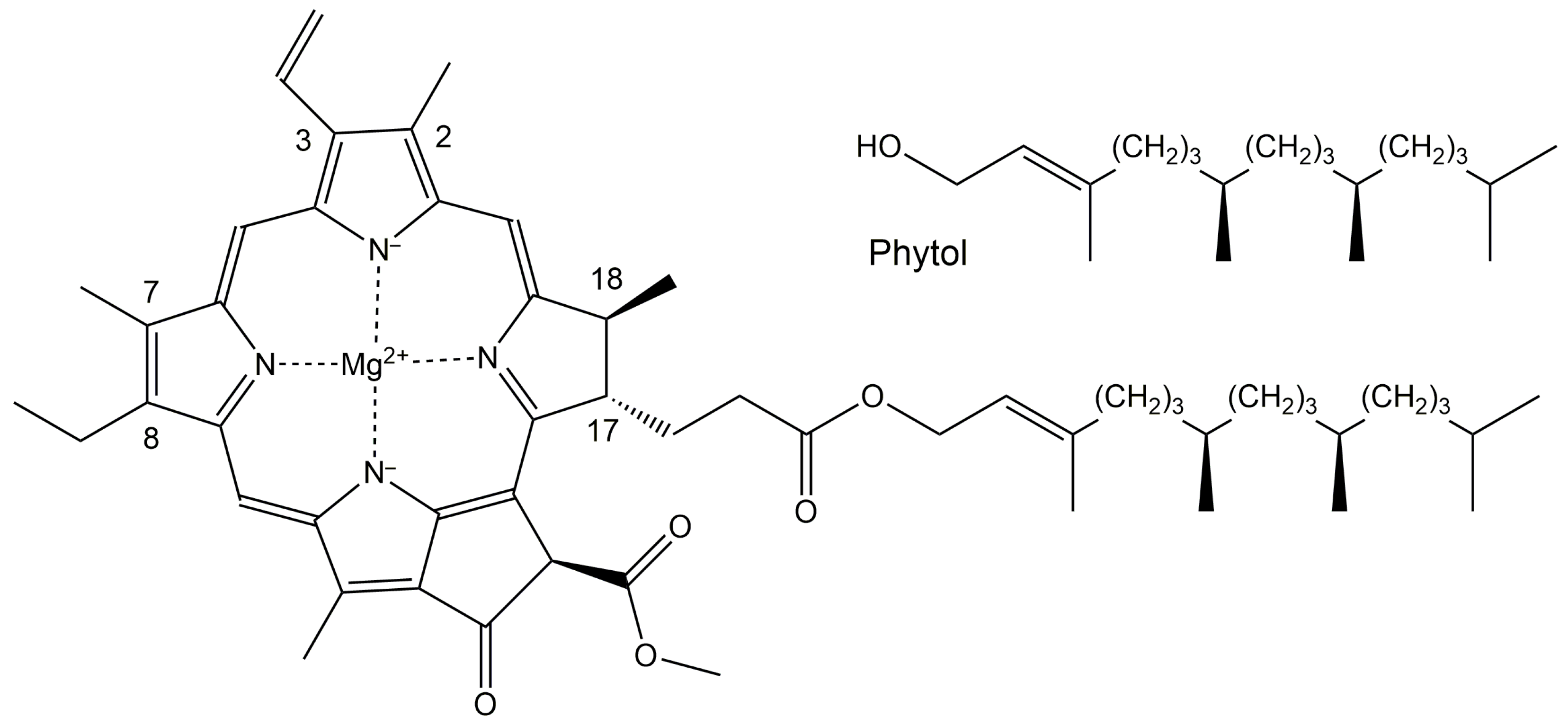 Nutraceuticals 02 00028 g006