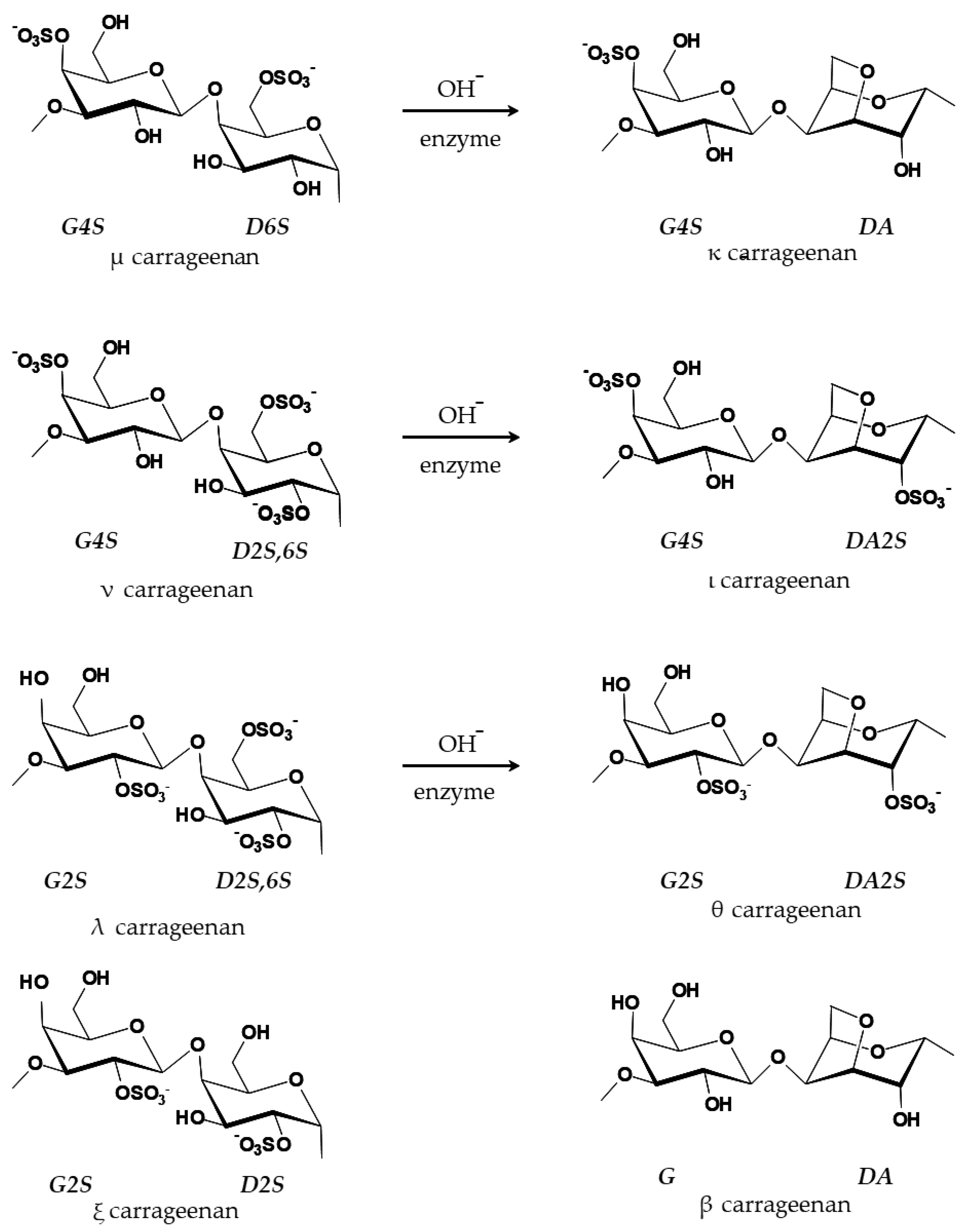Nutraceuticals 02 00032 g001