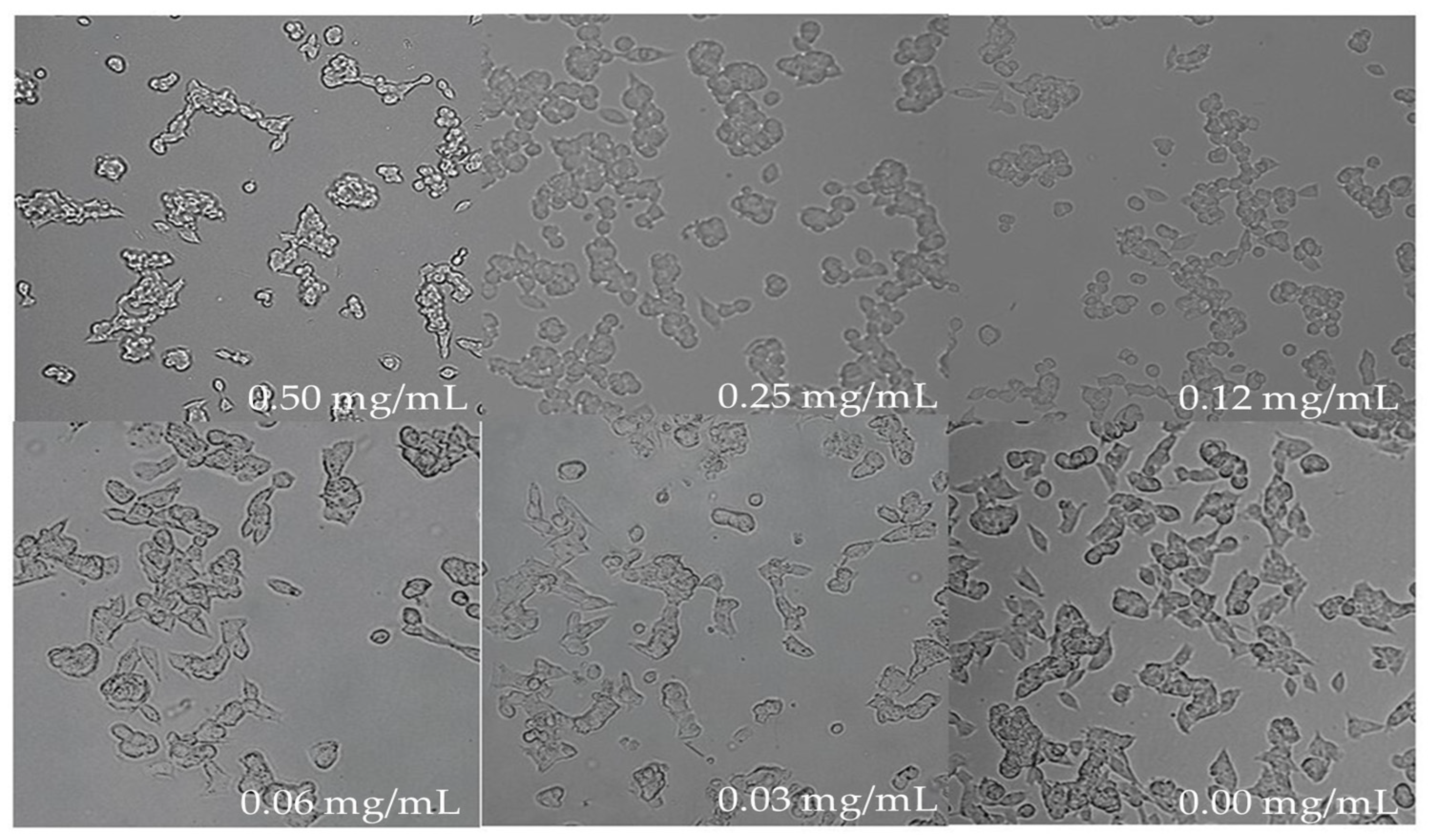 Nutraceuticals 03 00004 g005