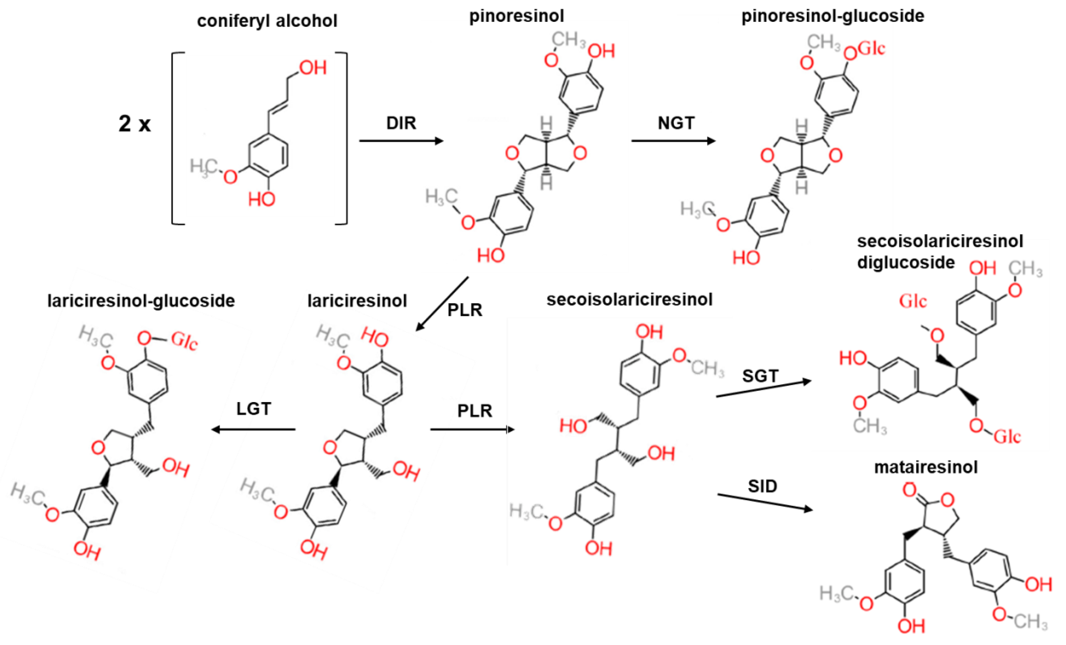 Nutraceuticals 03 00005 g003