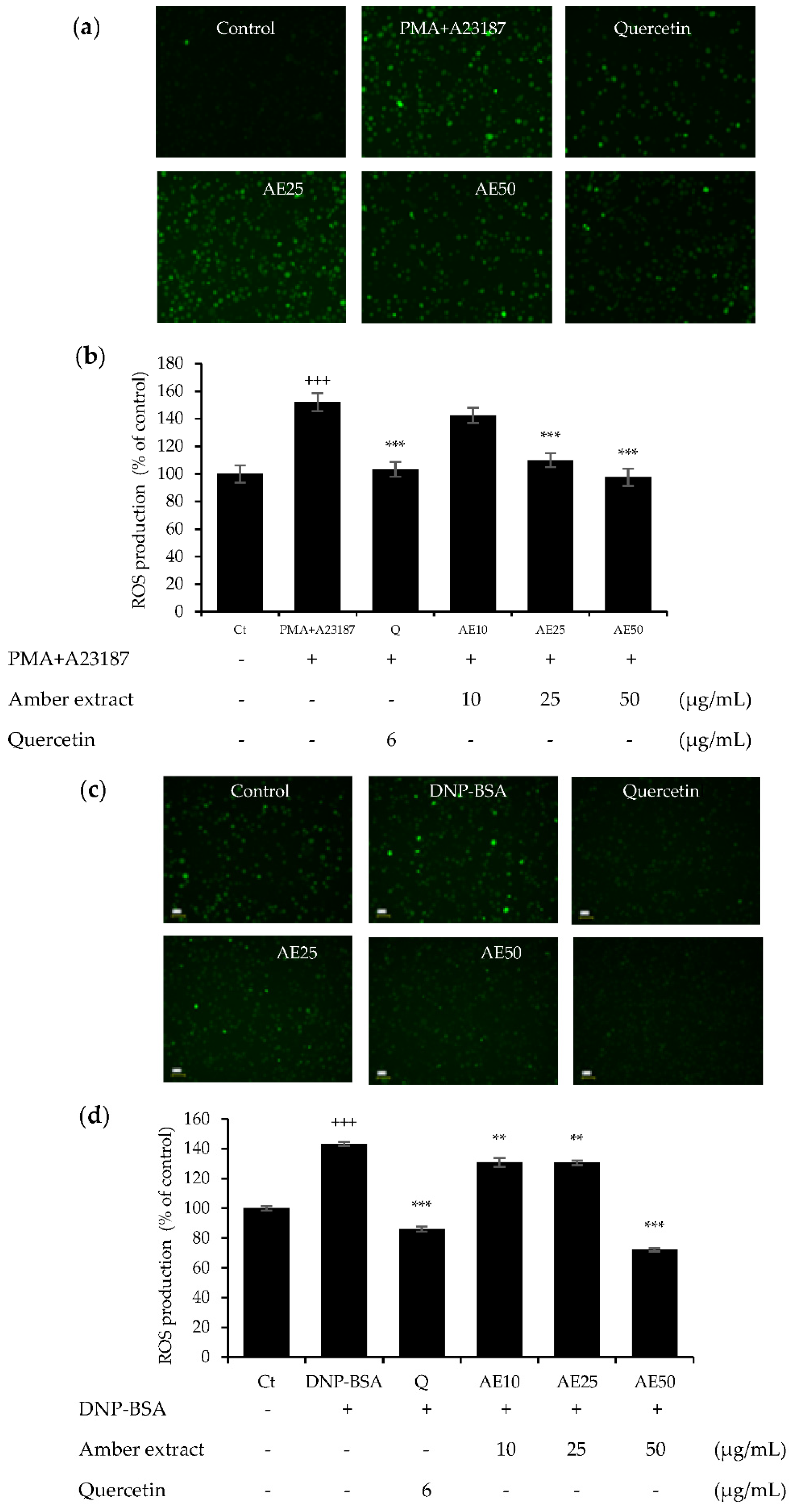 Nutraceuticals 03 00006 g004