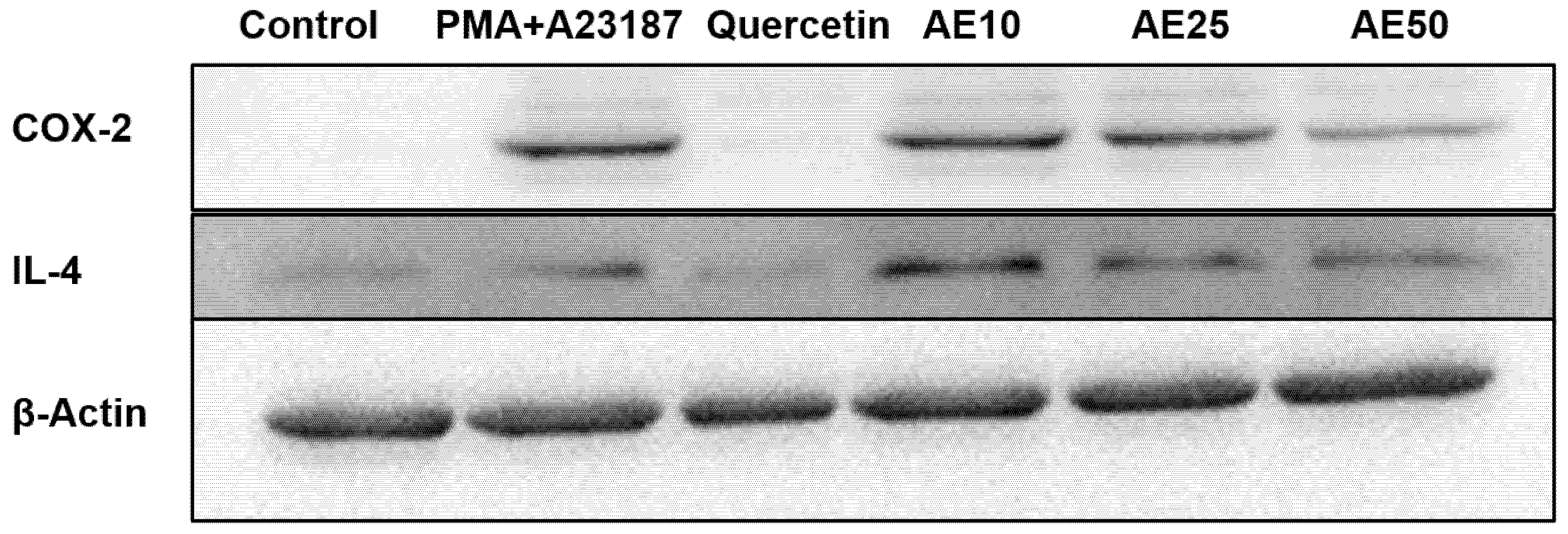 Nutraceuticals 03 00006 g005