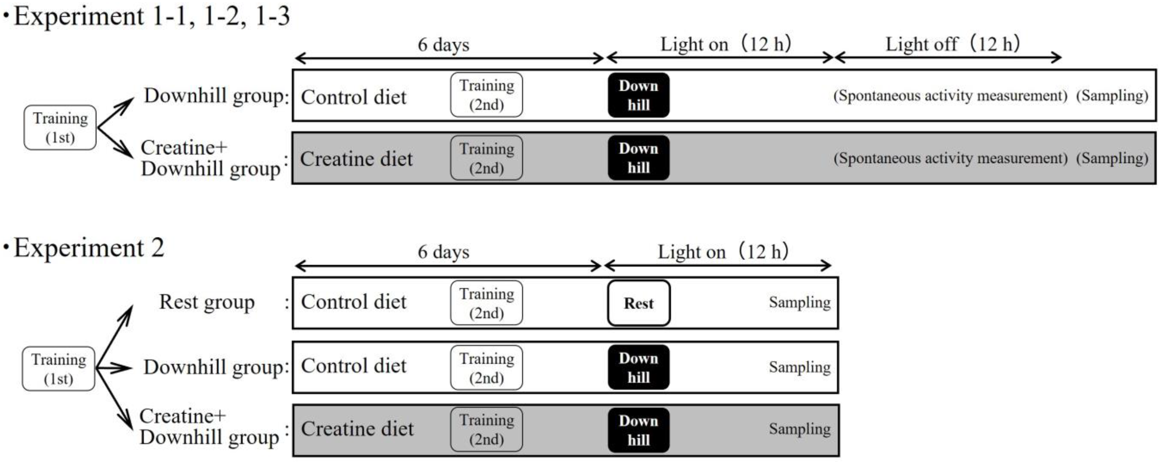 Nutraceuticals 03 00019 g001