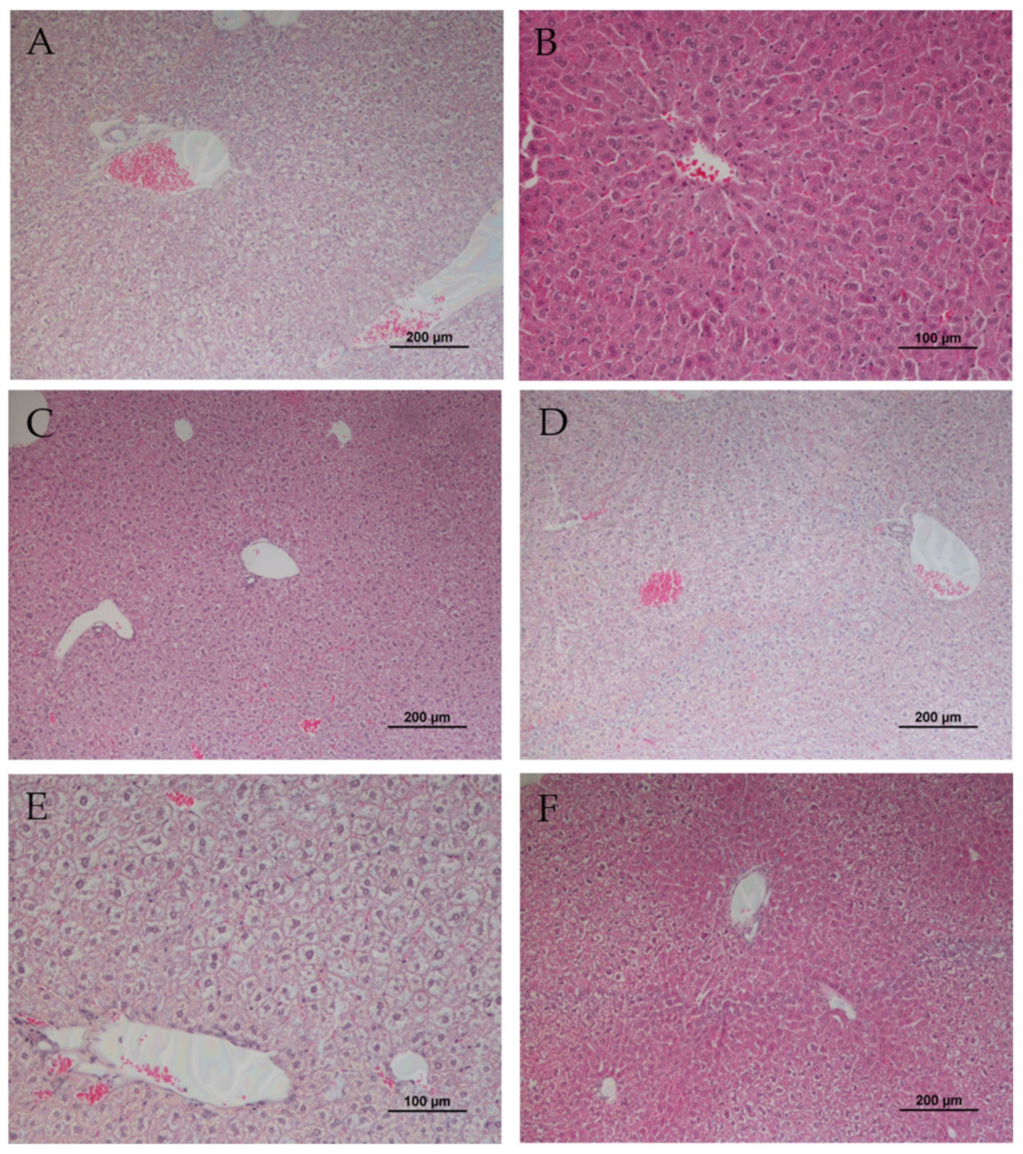 Nutraceuticals 03 00039 g001