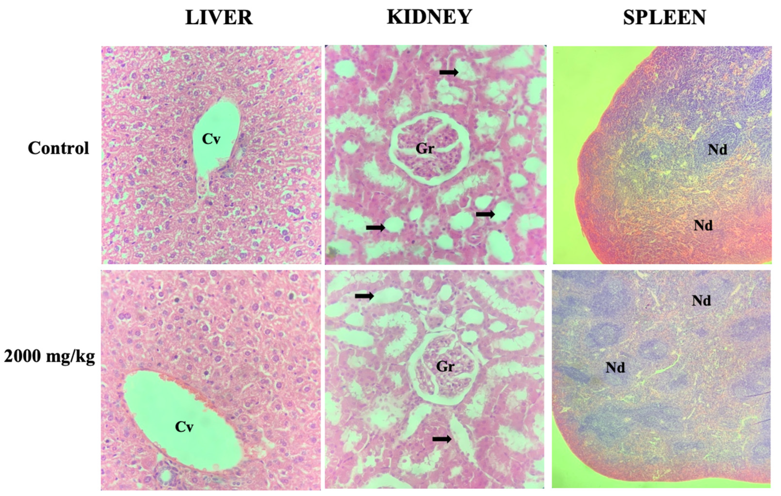 Nutraceuticals 04 00005 g003