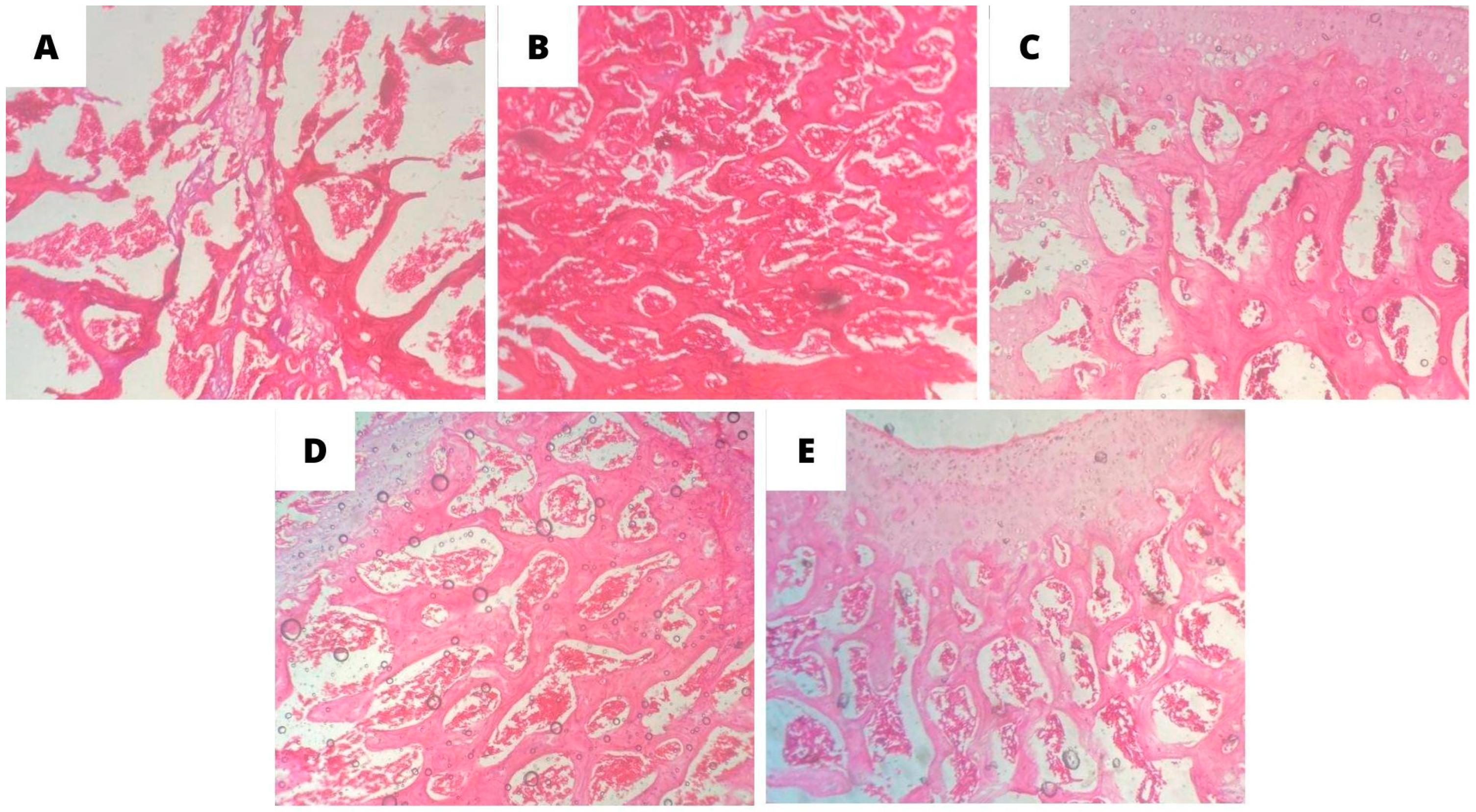 Nutraceuticals 04 00010 g006