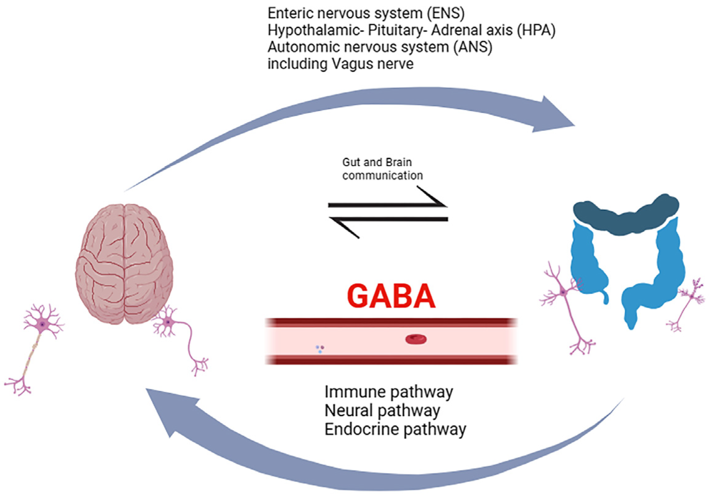 Nutraceuticals 04 00015 g001