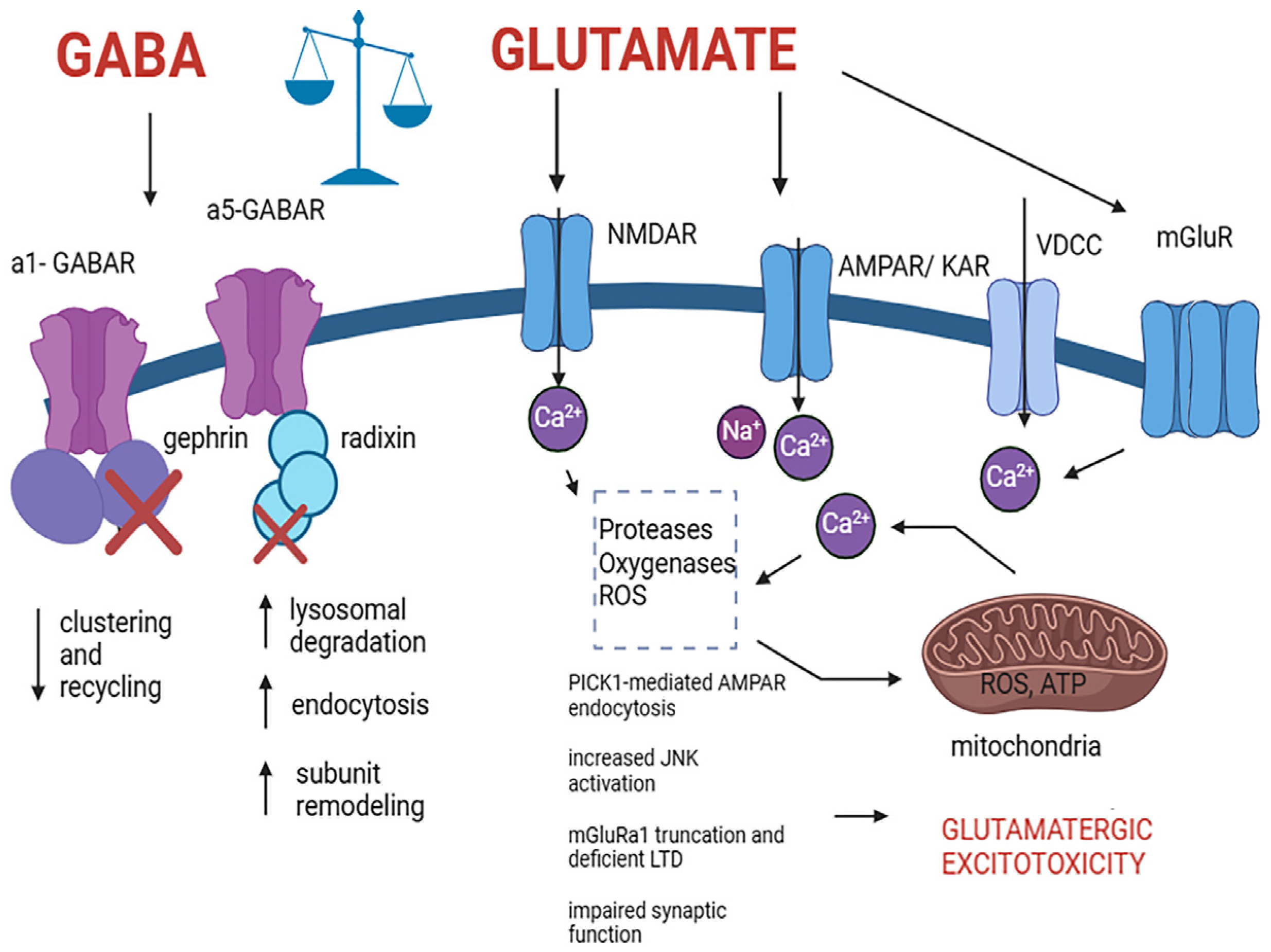 Nutraceuticals 04 00015 g002
