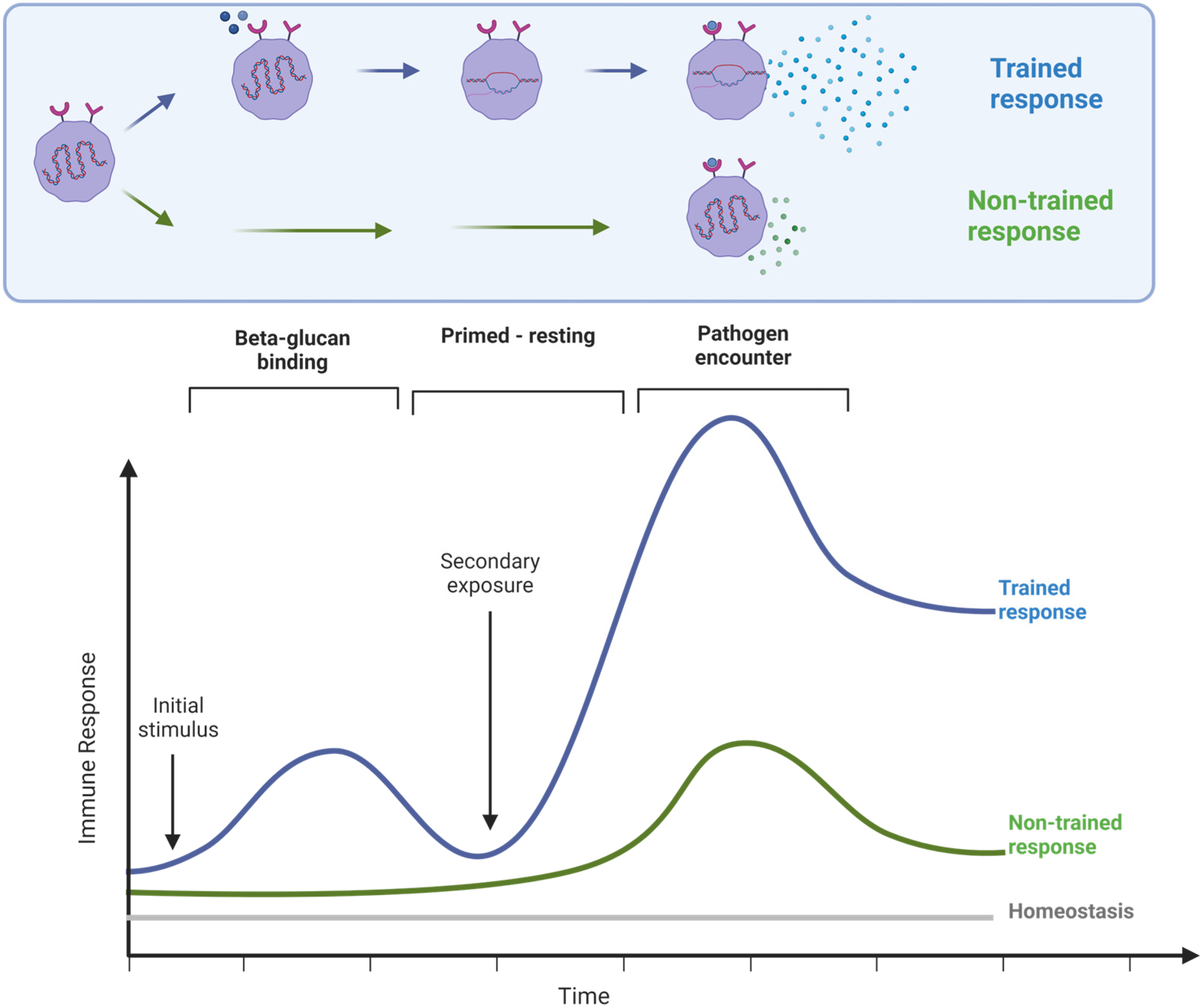Nutraceuticals 04 00018 g001
