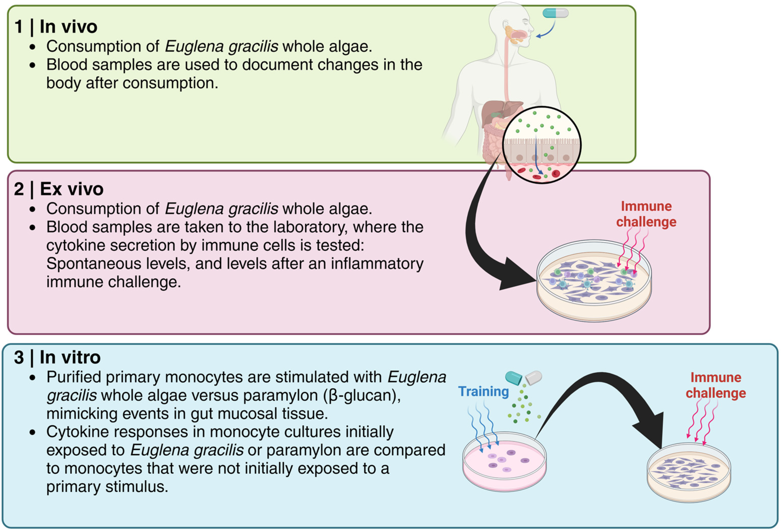 Nutraceuticals 04 00018 g002