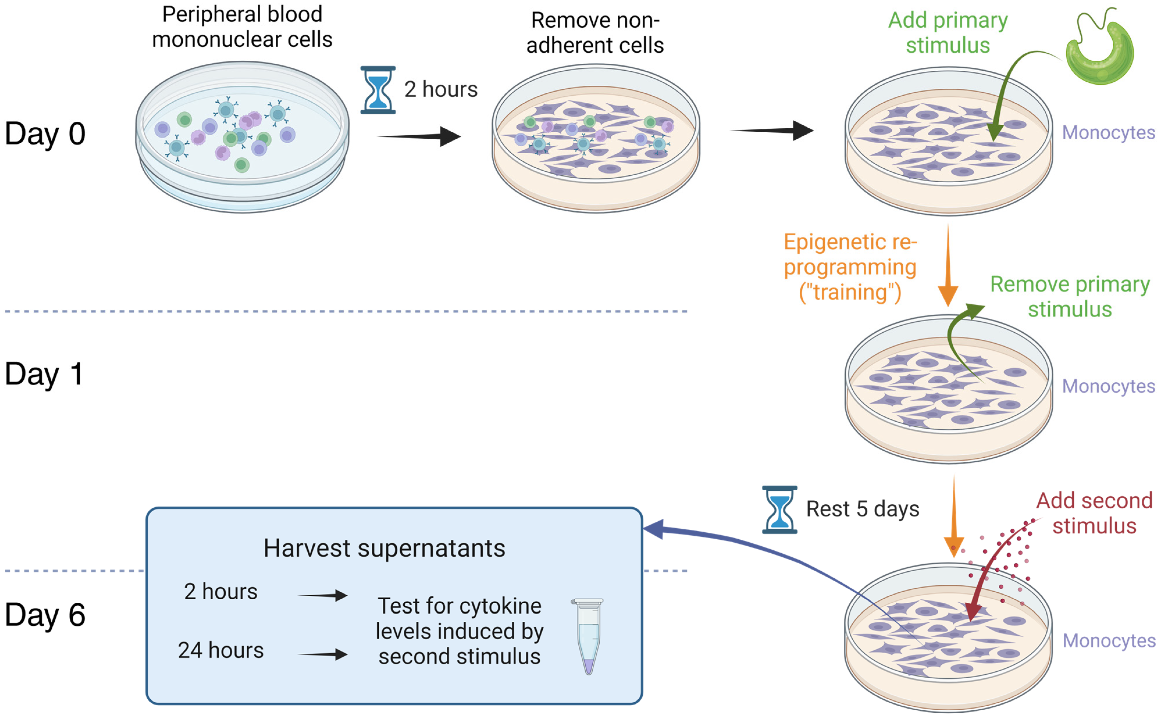 Nutraceuticals 04 00018 g006