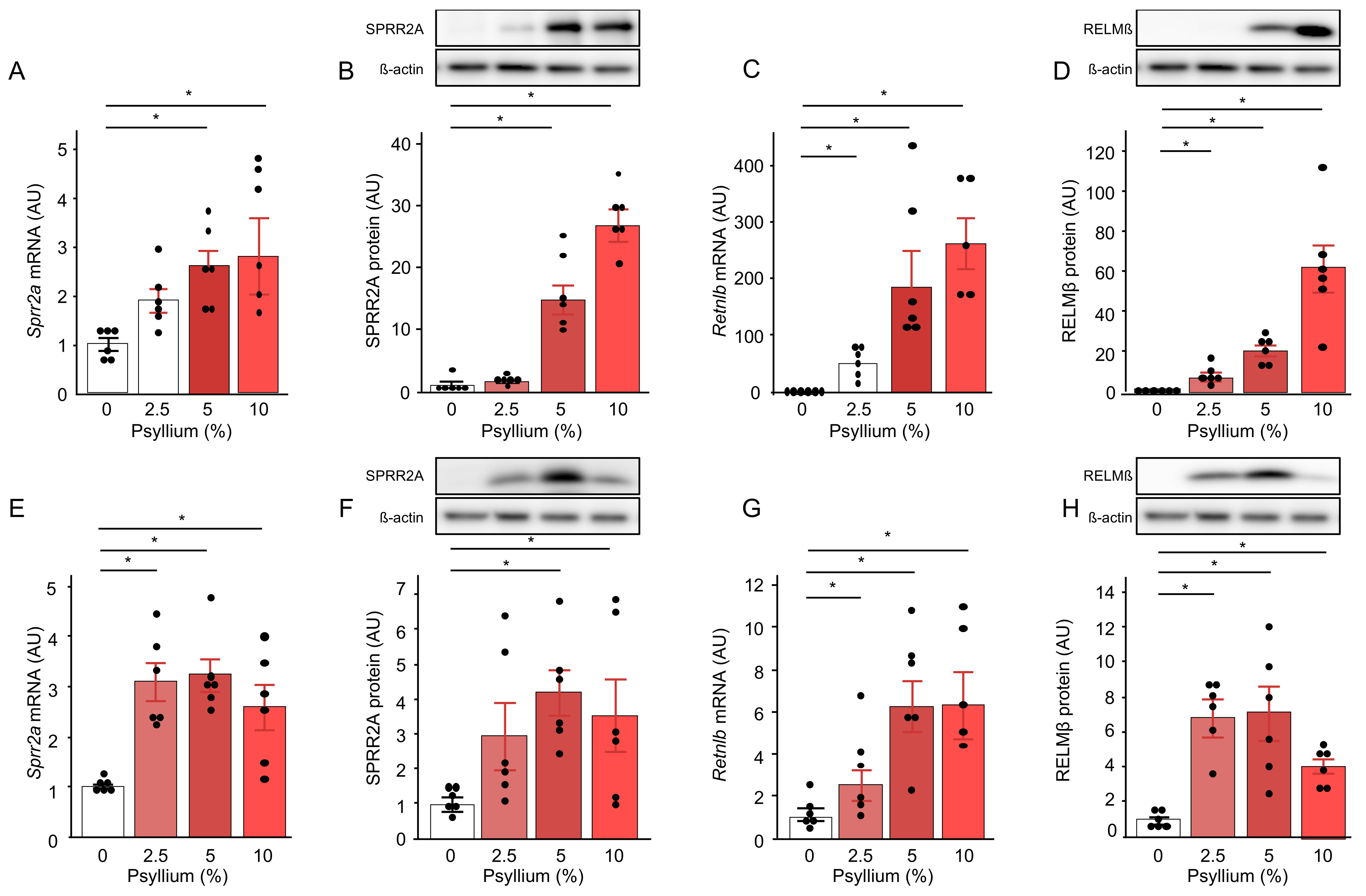 Nutraceuticals 04 00019 g003
