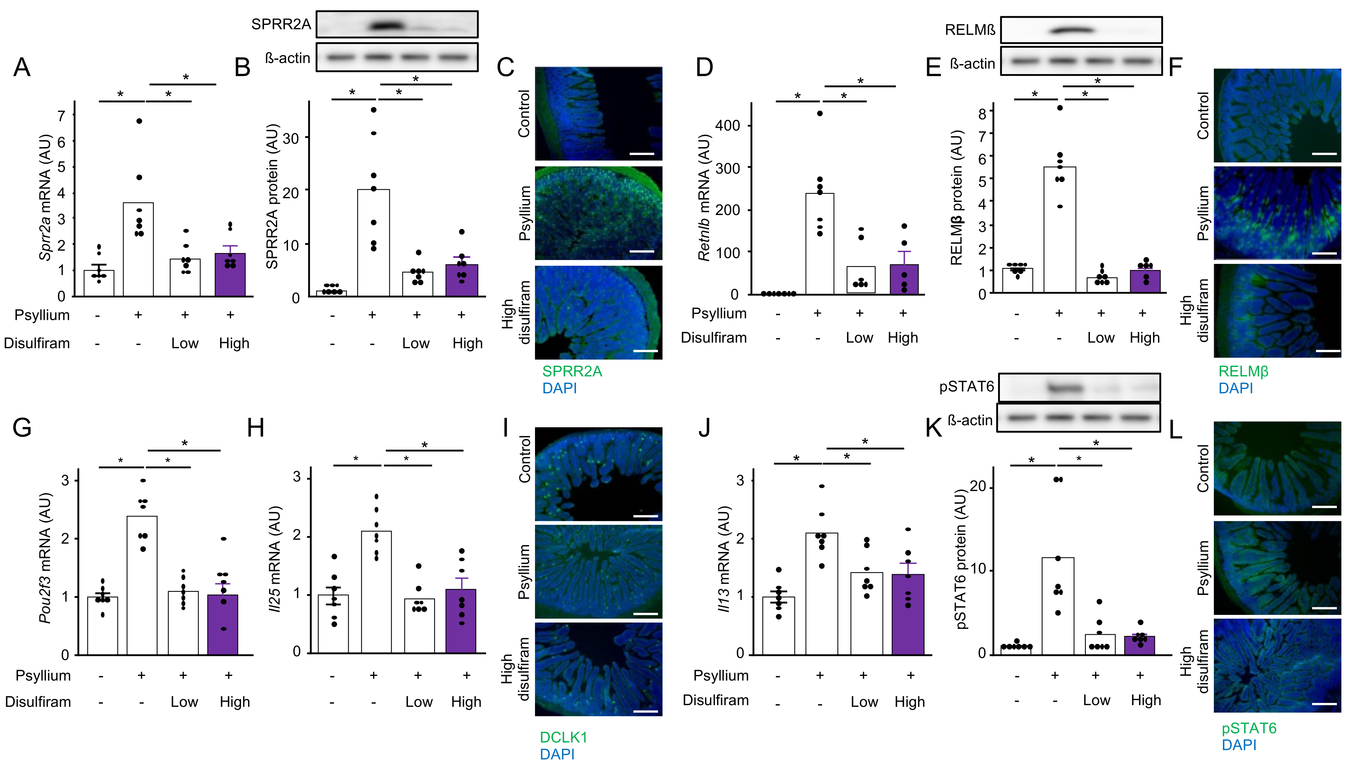 Nutraceuticals 04 00019 g005