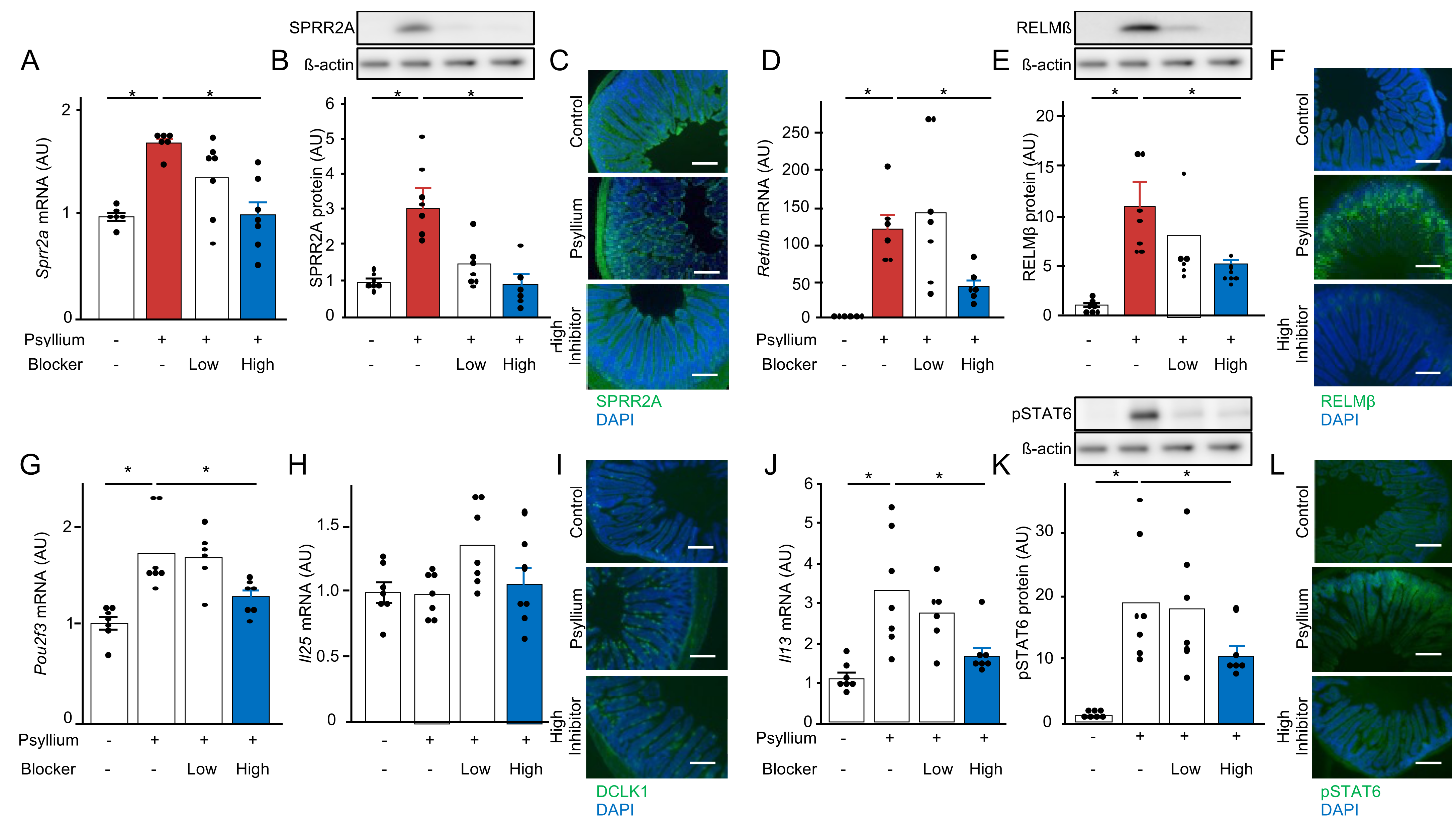 Nutraceuticals 04 00019 g006