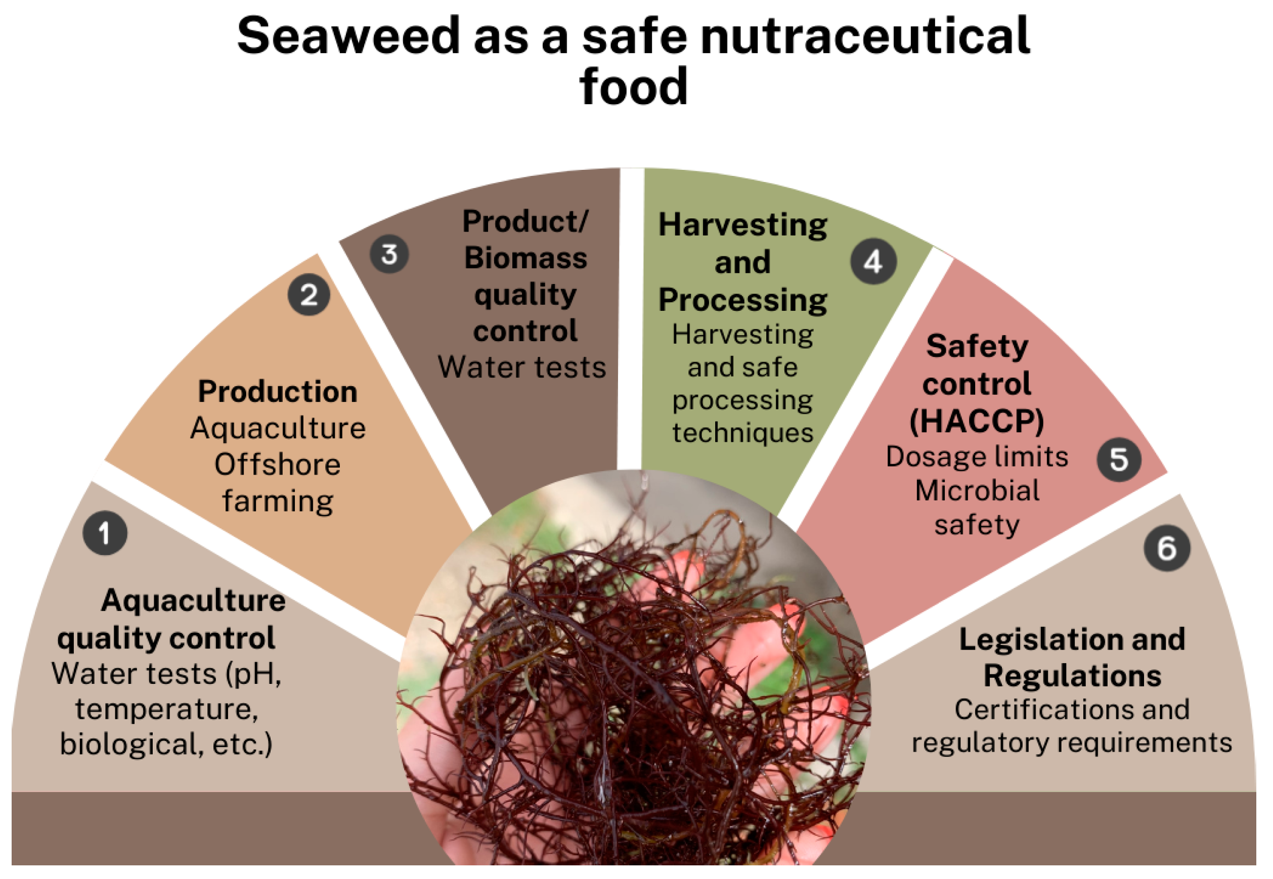 Nutraceuticals 04 00020 g001