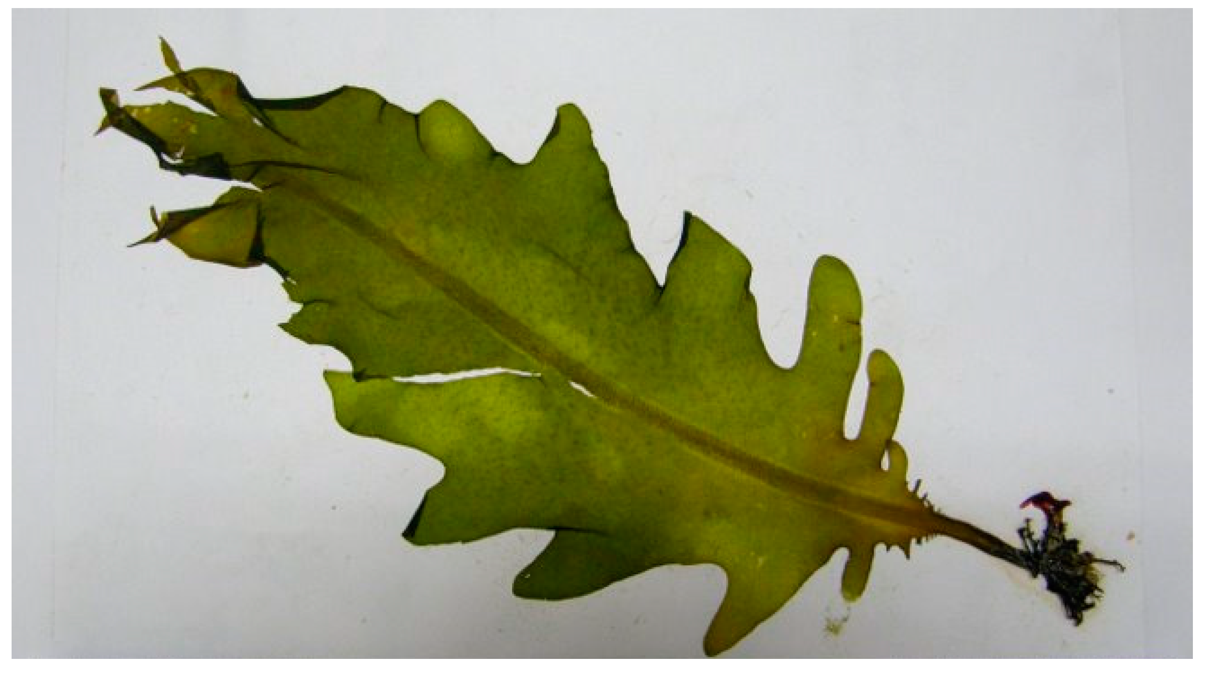 Nutraceuticals 04 00020 g004