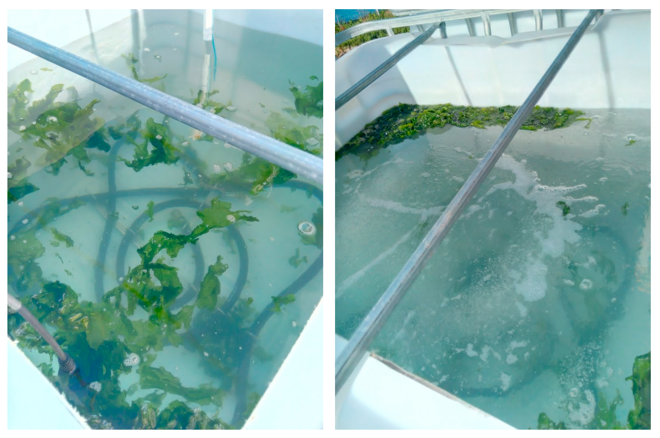 Nutraceuticals 04 00020 g005