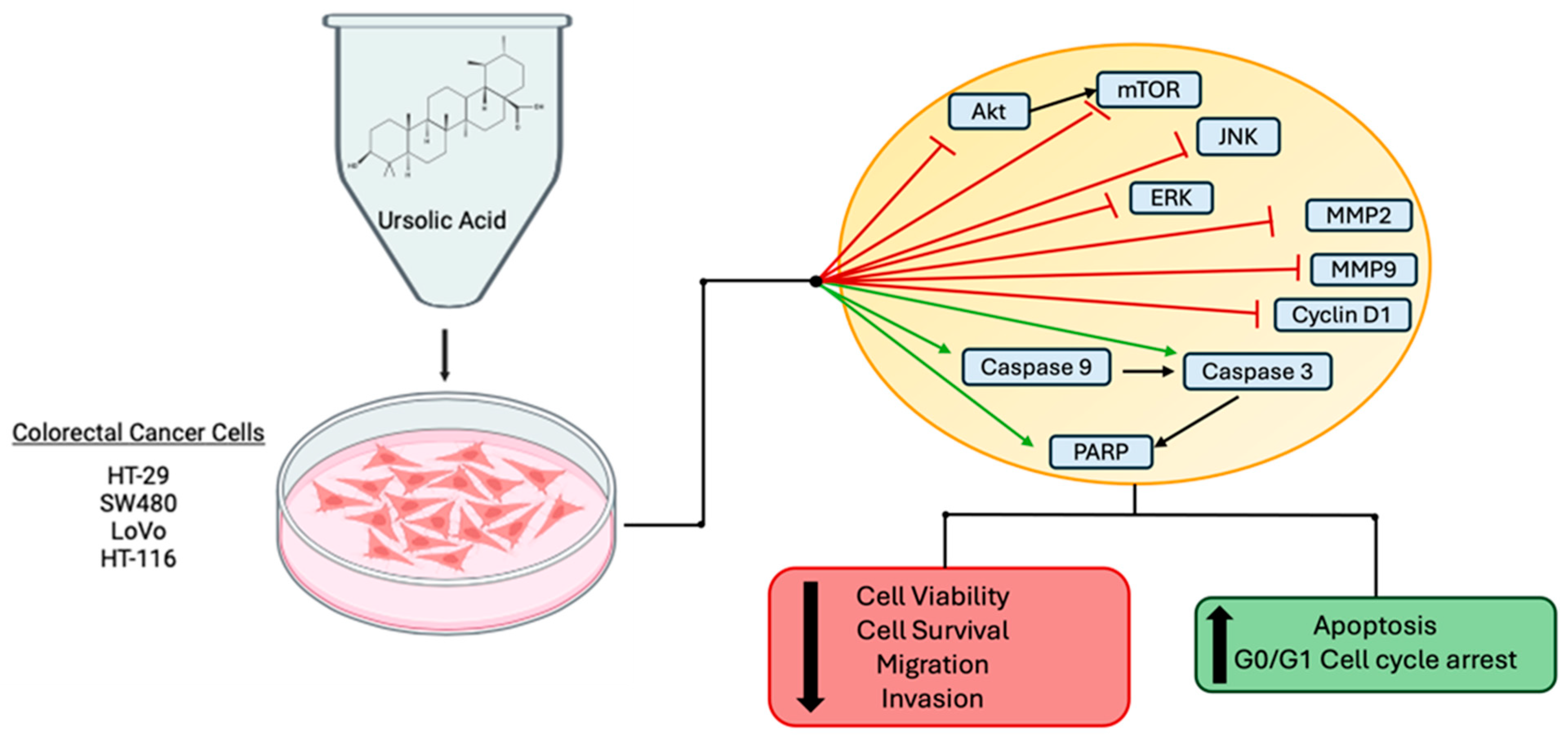 Nutraceuticals 04 00022 g002 Nutraceuticals 04 00022 g002