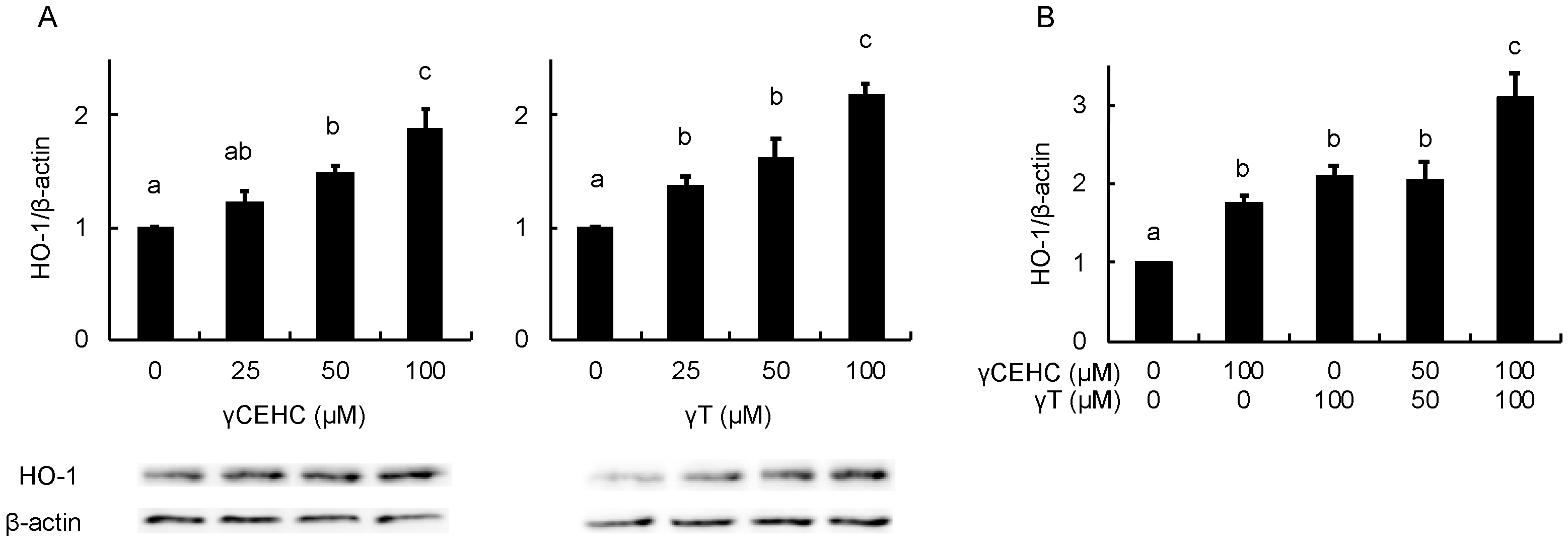 Nutraceuticals 04 00024 g004