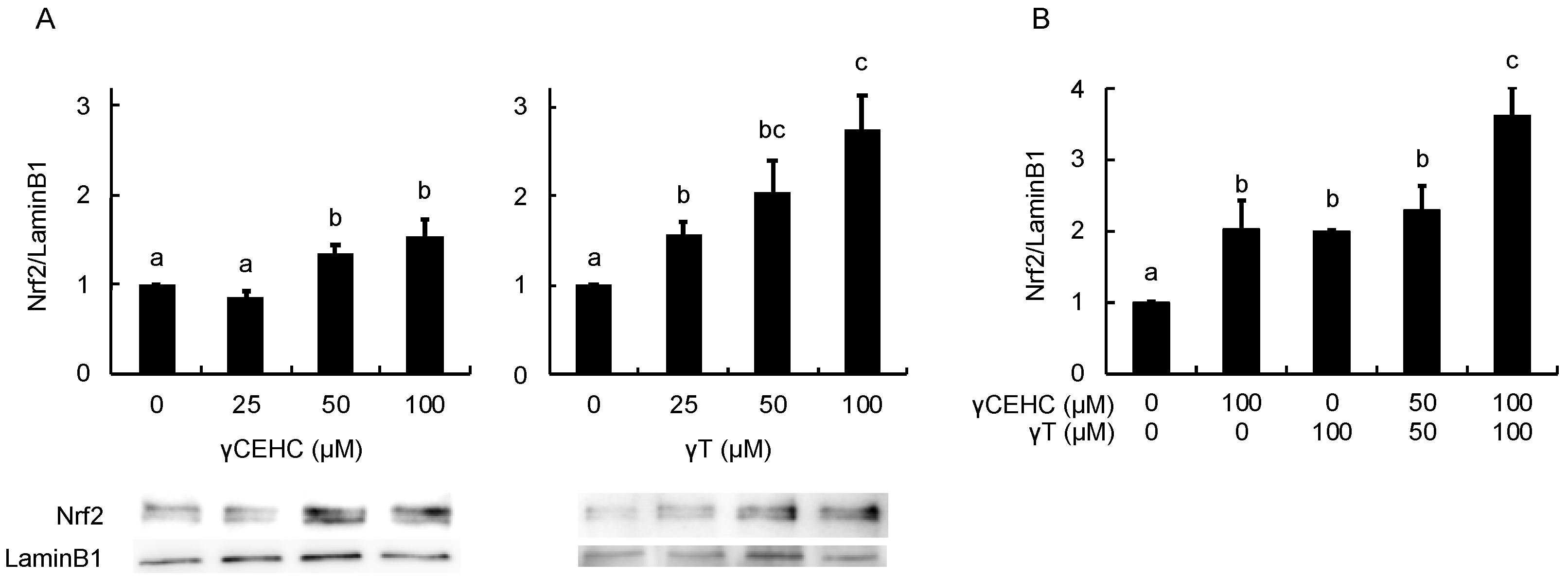 Nutraceuticals 04 00024 g005