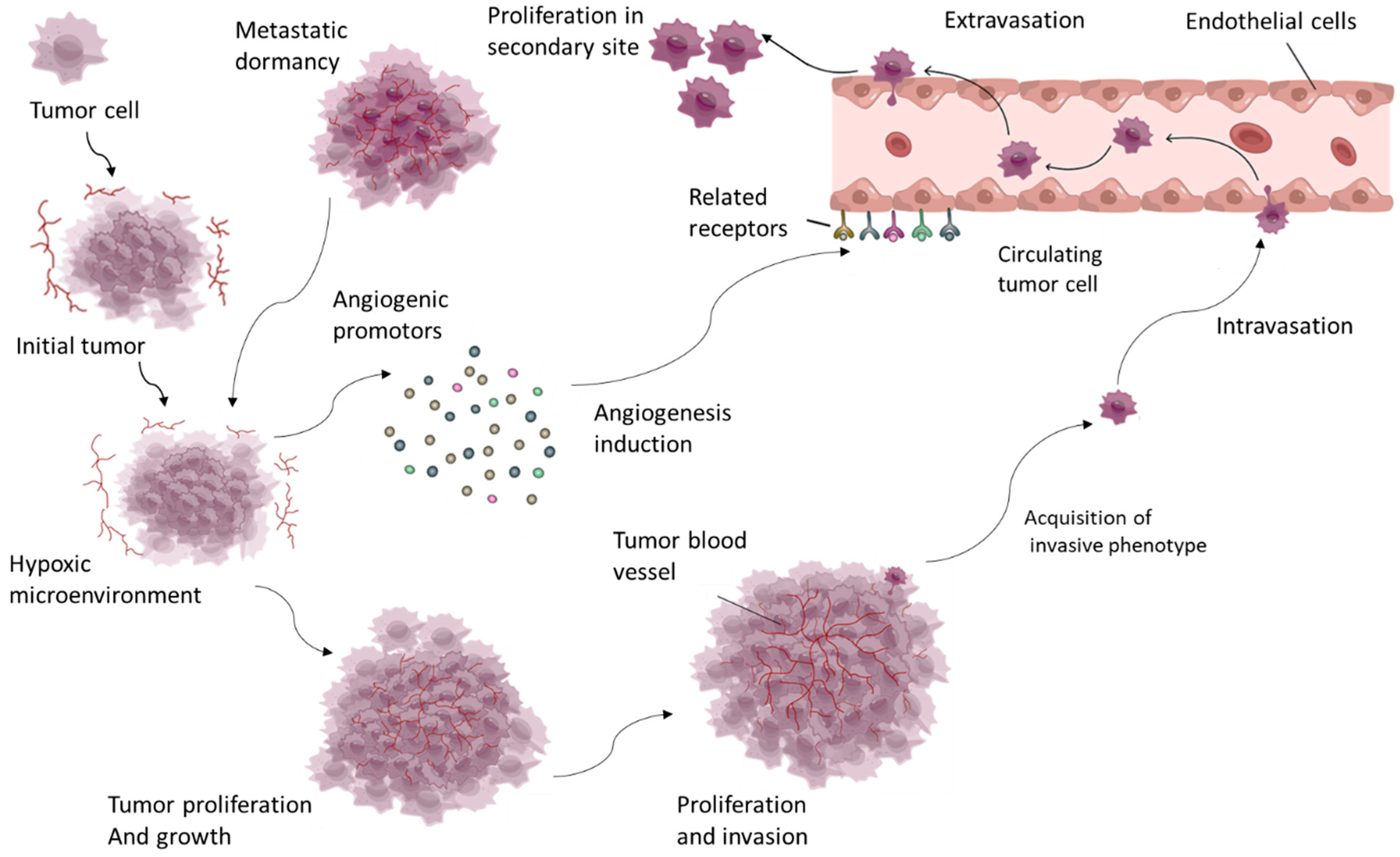 Nutraceuticals 04 00027 g001