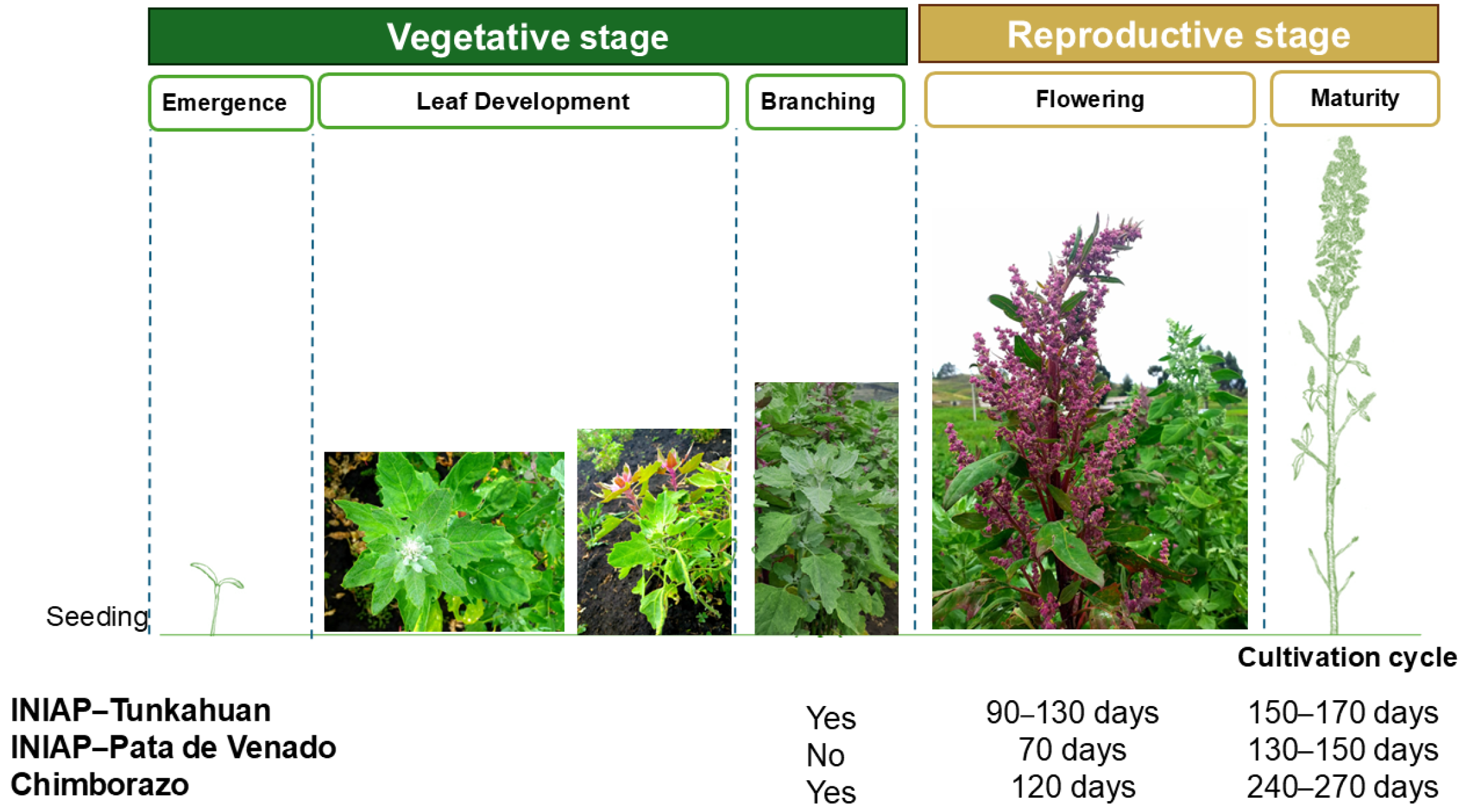 Nutraceuticals 05 00001 g001