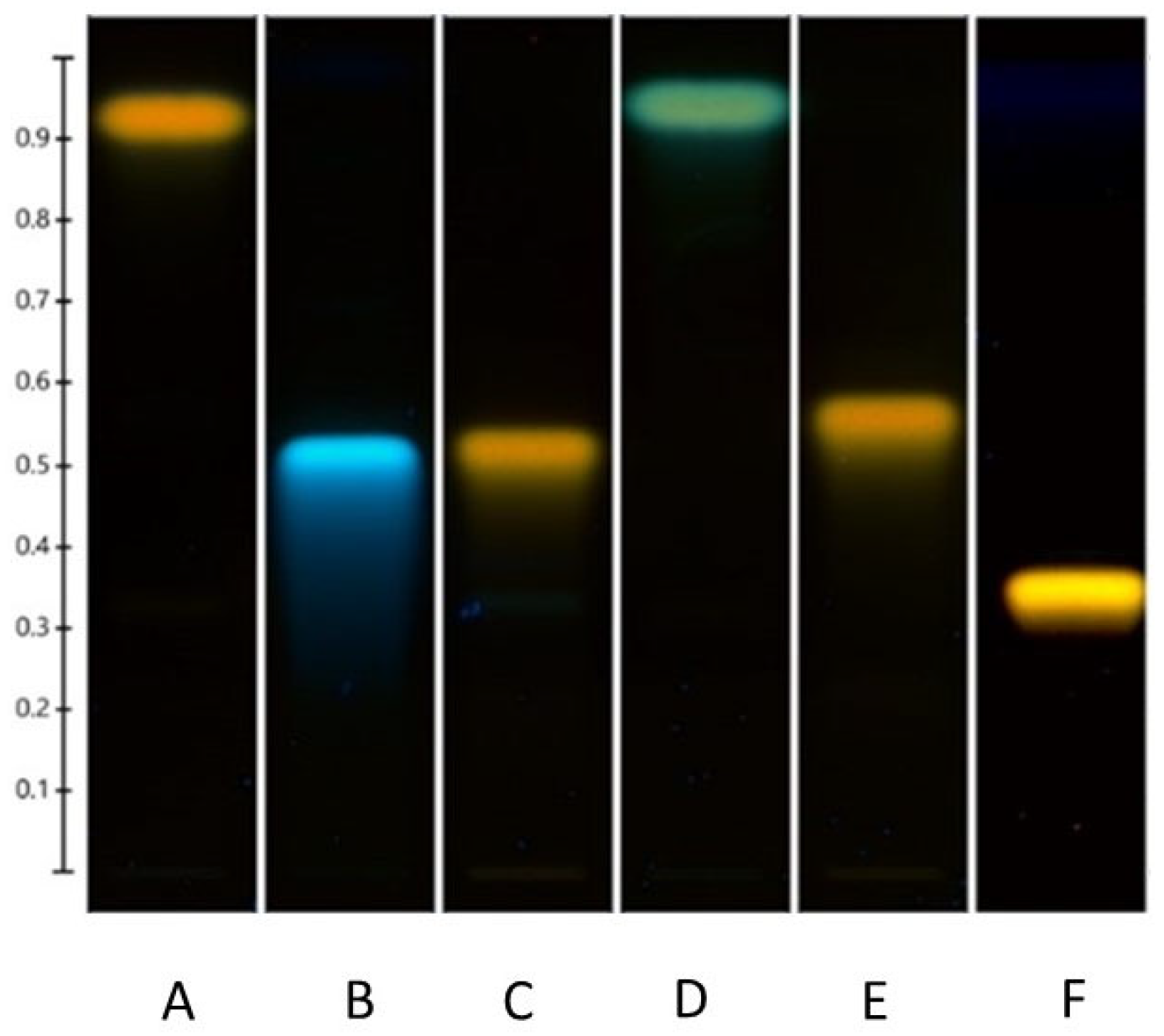 Nutraceuticals 05 00001 g002