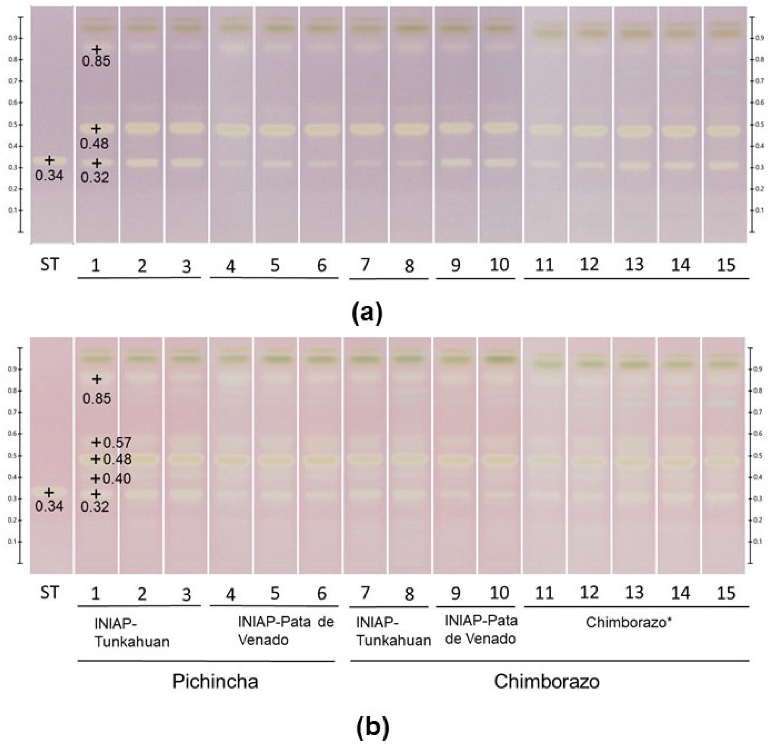 Nutraceuticals 05 00001 g005