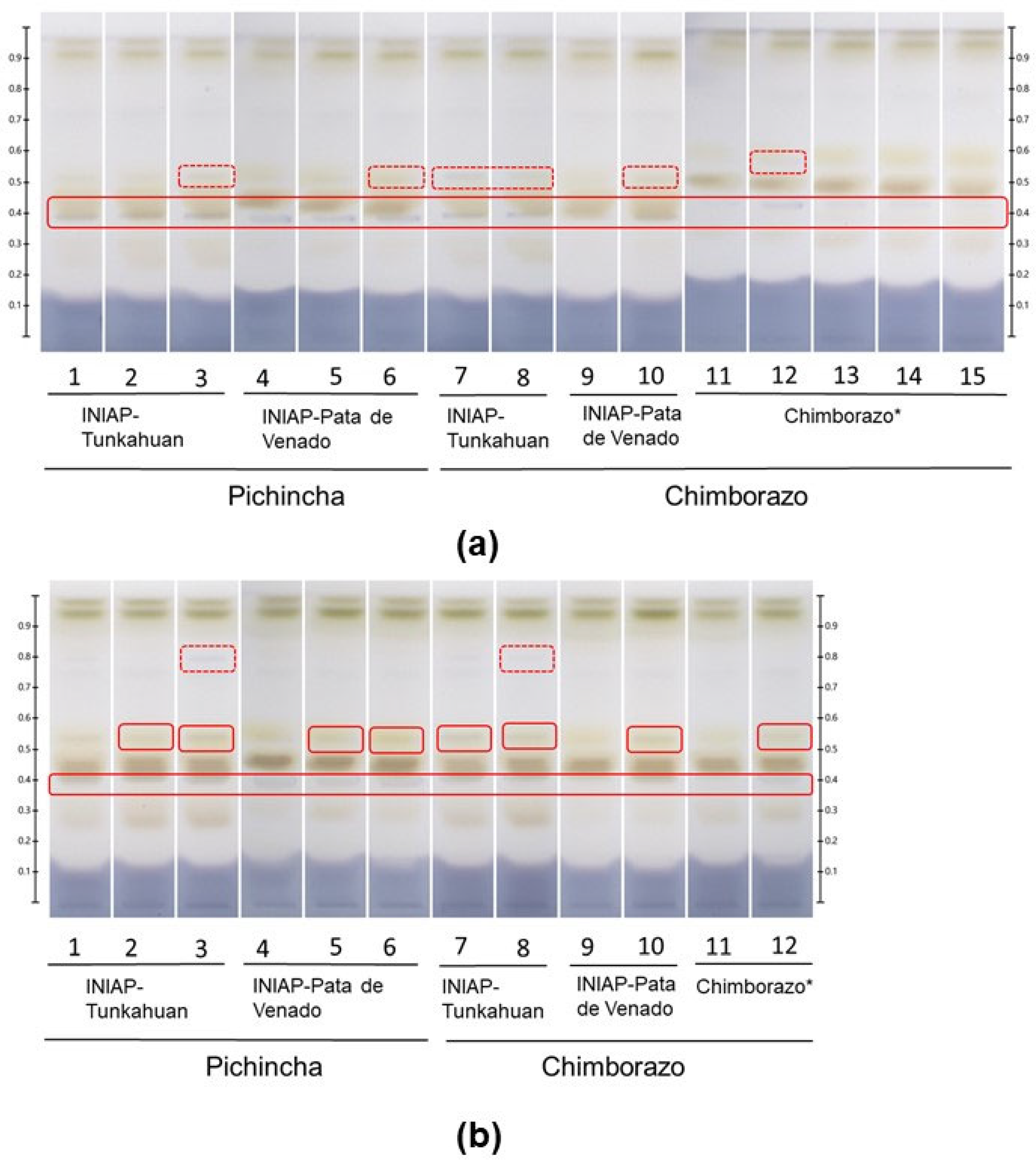 Nutraceuticals 05 00001 g006