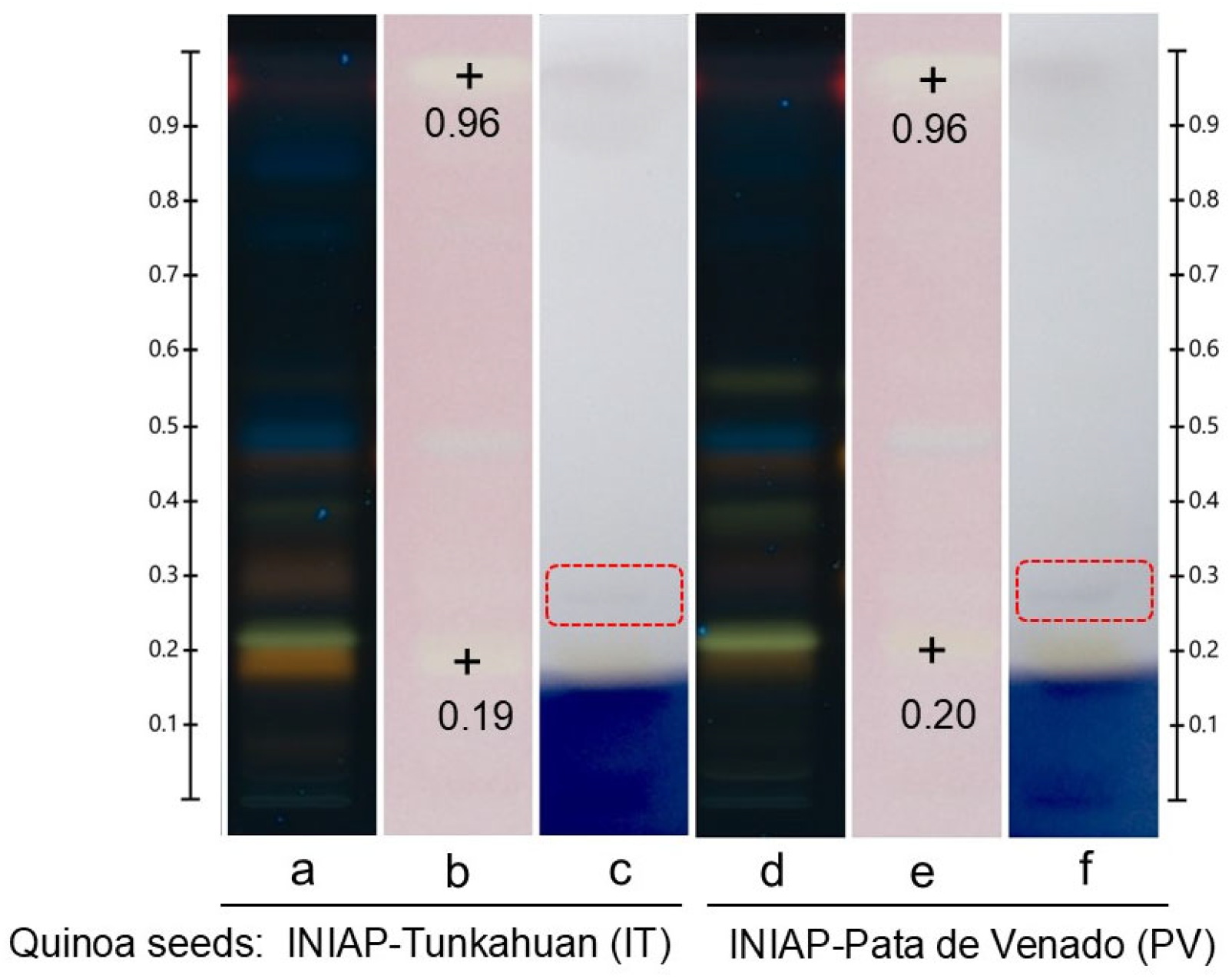 Nutraceuticals 05 00001 g007
