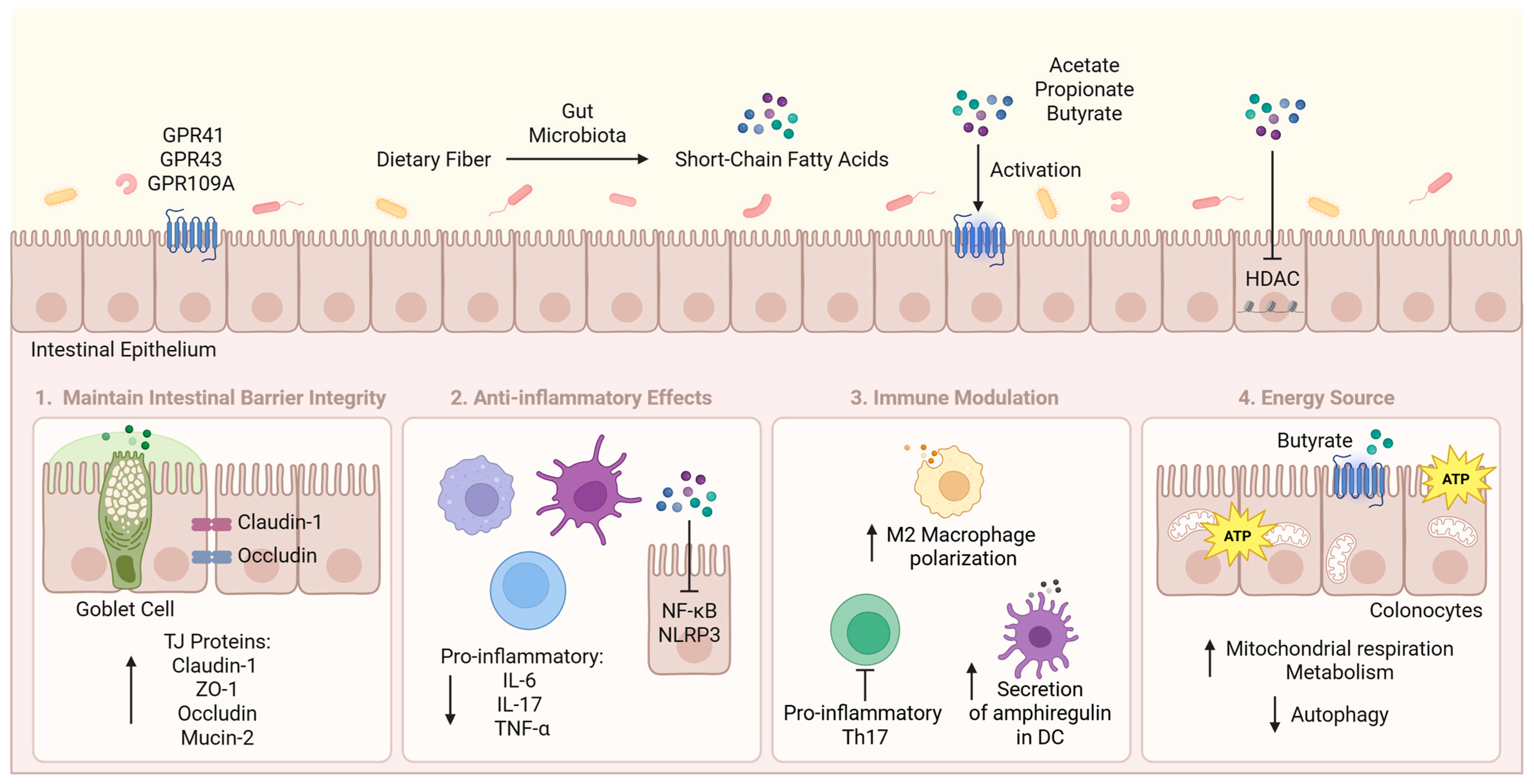 Nutraceuticals 05 00019 g001