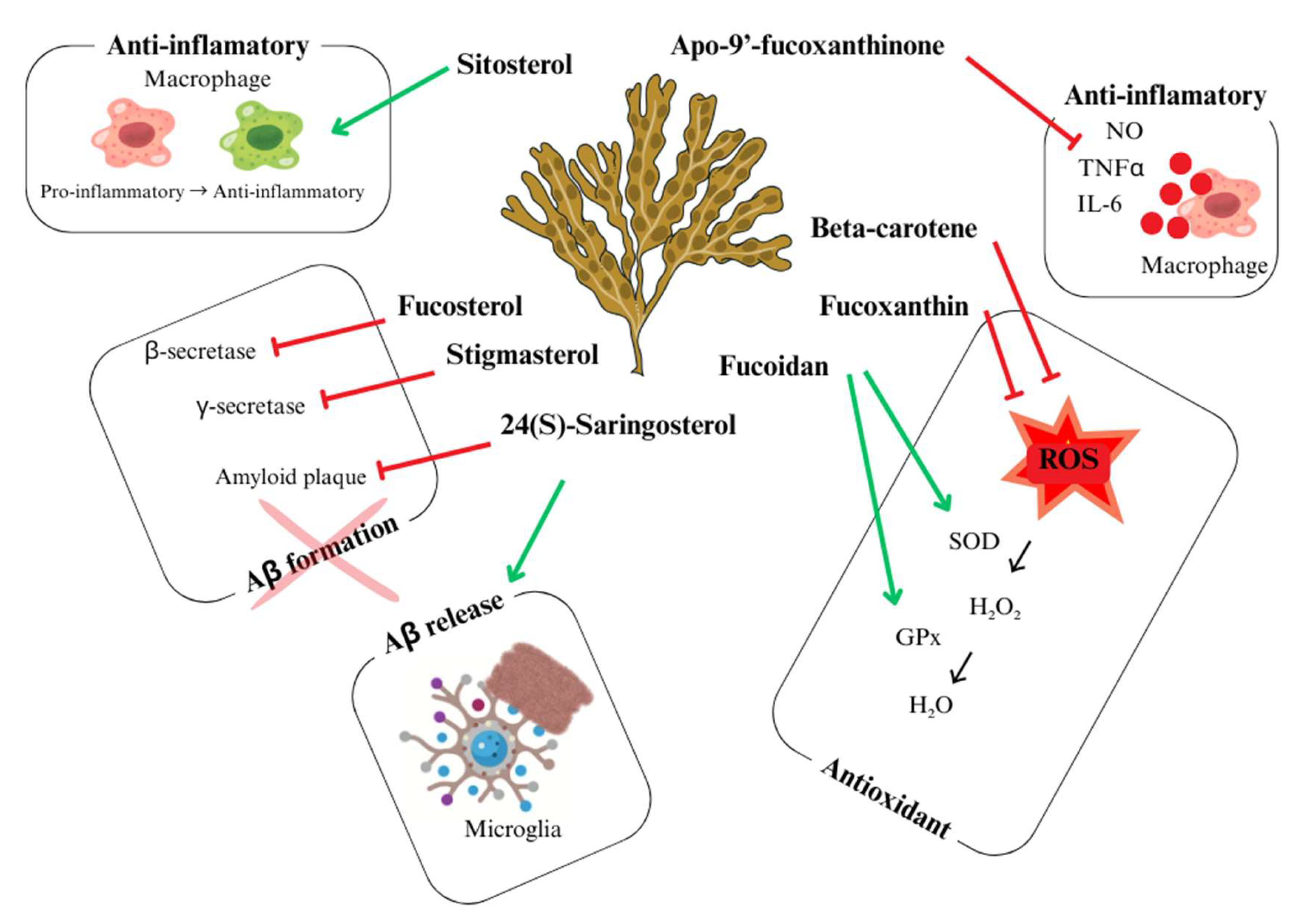 Nutraceuticals 05 00020 g005