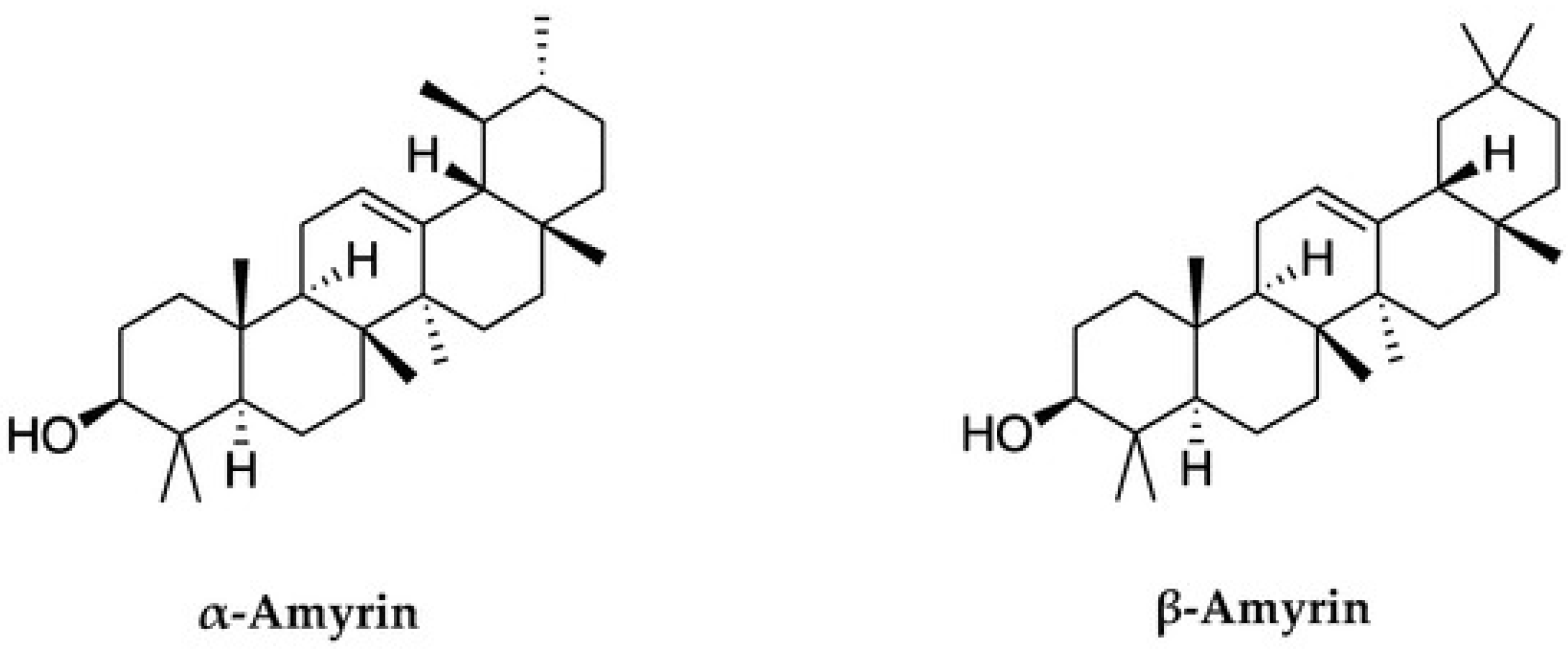 Nutraceuticals 05 00021 g001