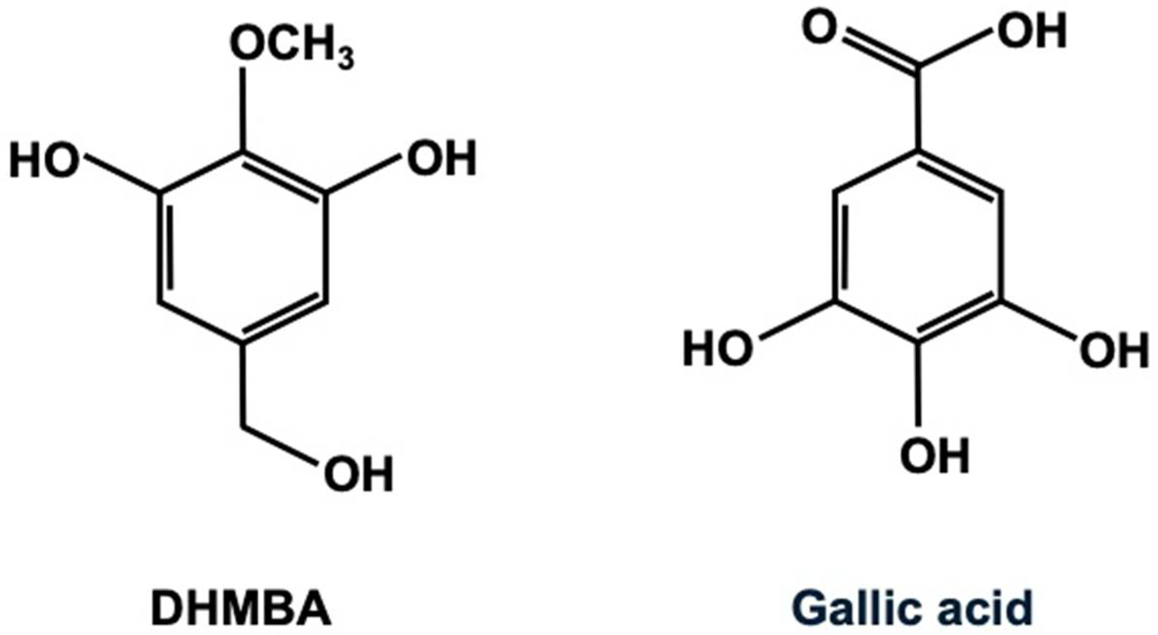 Nutraceuticals 05 00028 g001