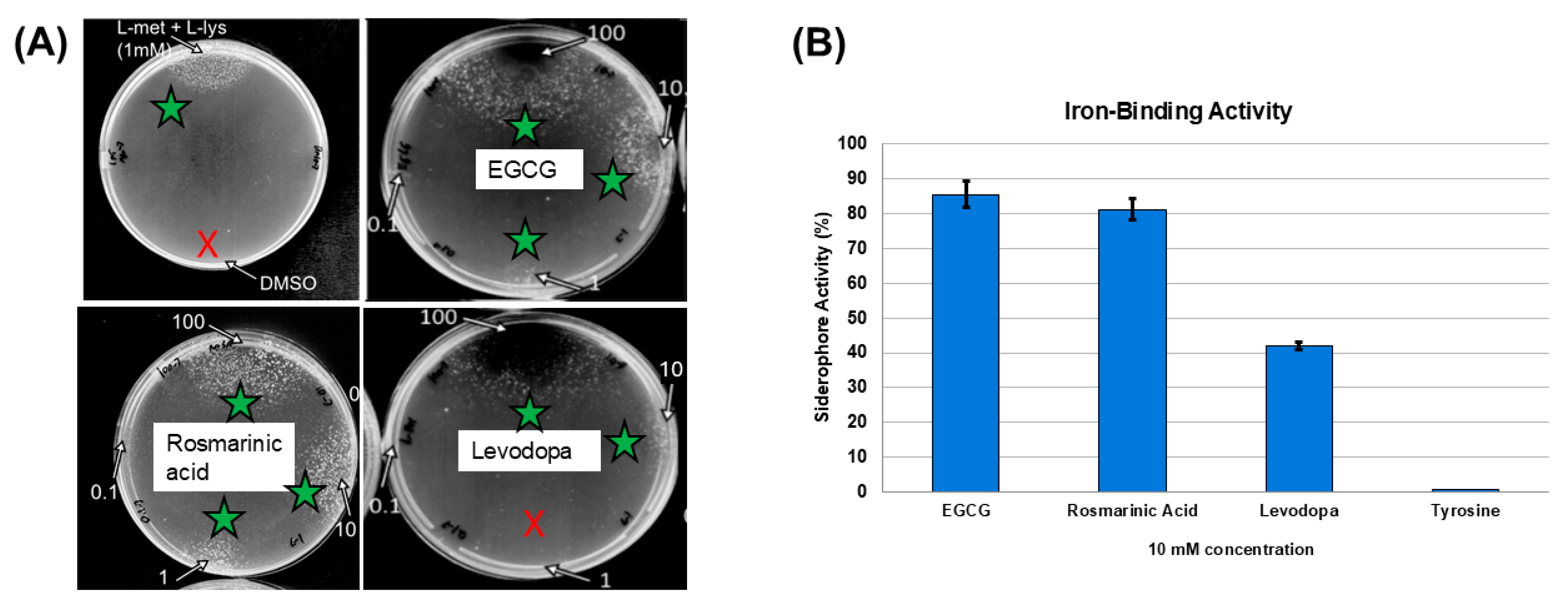 Nutraceuticals 05 00029 g004 Nutraceuticals 05 00029 g004